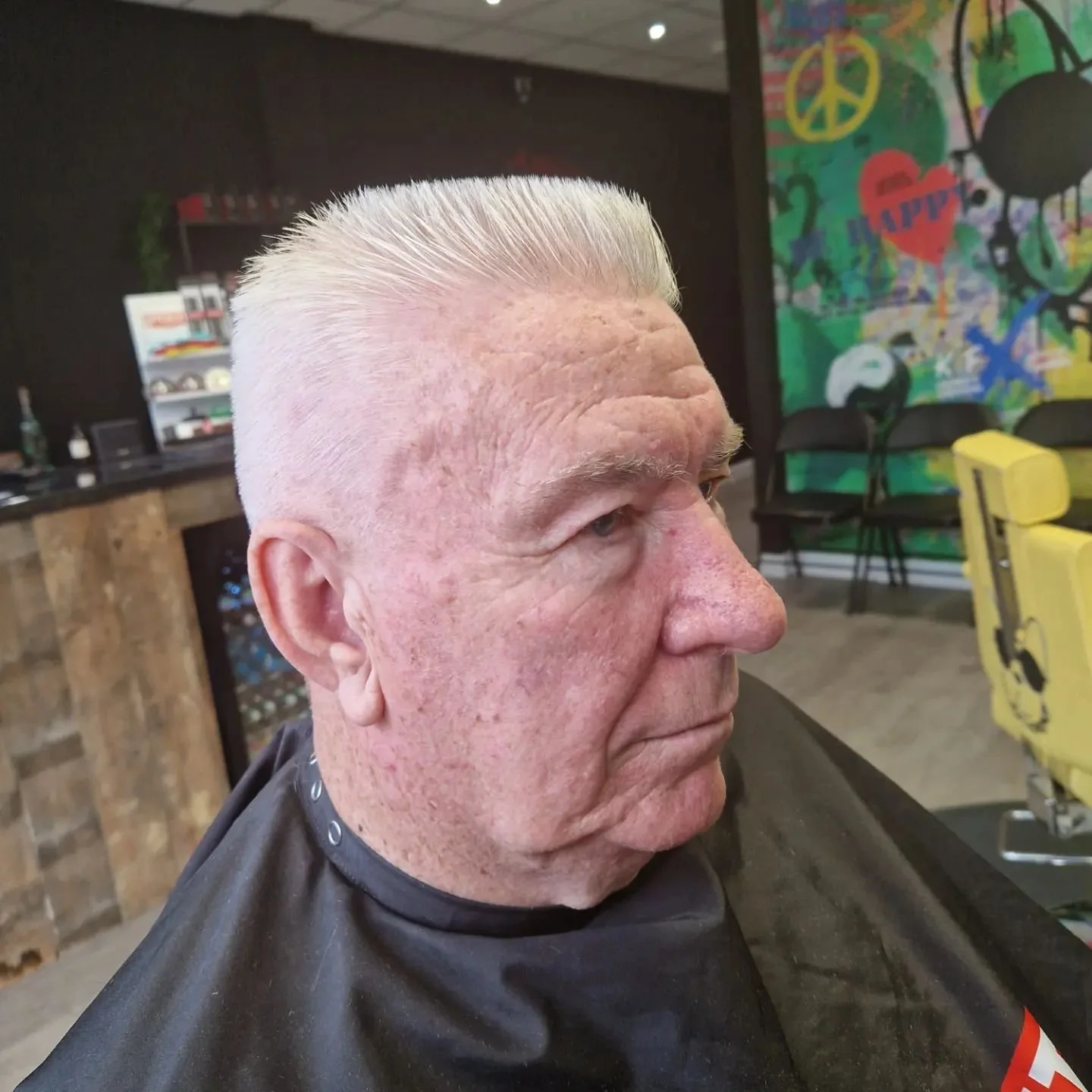 bulldog haircuts 6.jpeg