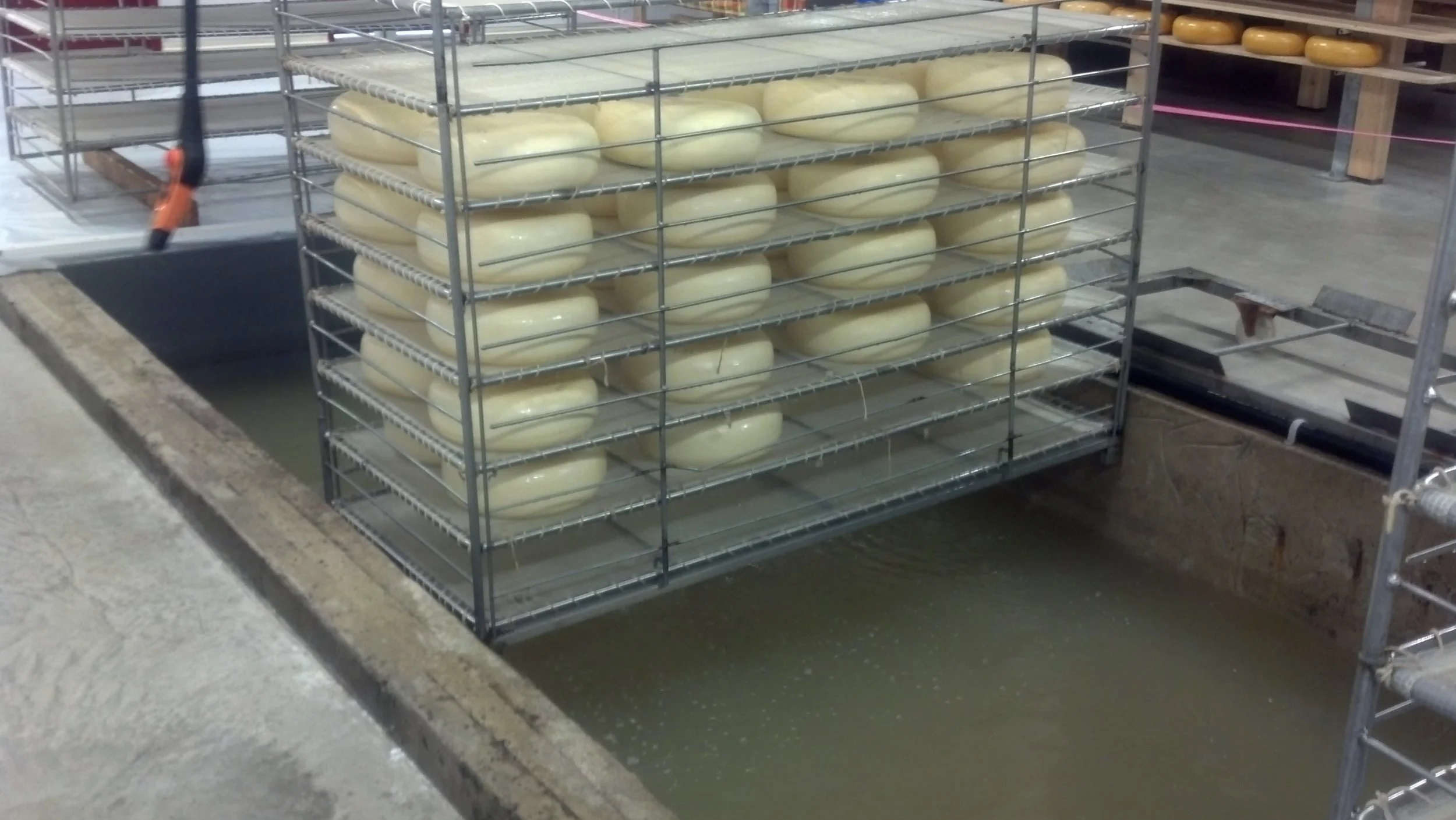 Salt brine process for Dutch-style cheese, in hygienic contact in our corrosion-protected concrete. No peeling. No failure. Hygienic. We simply prepared and sealed the concrete brine containment with 3 coats of Silikal resin. Picture taken after 4