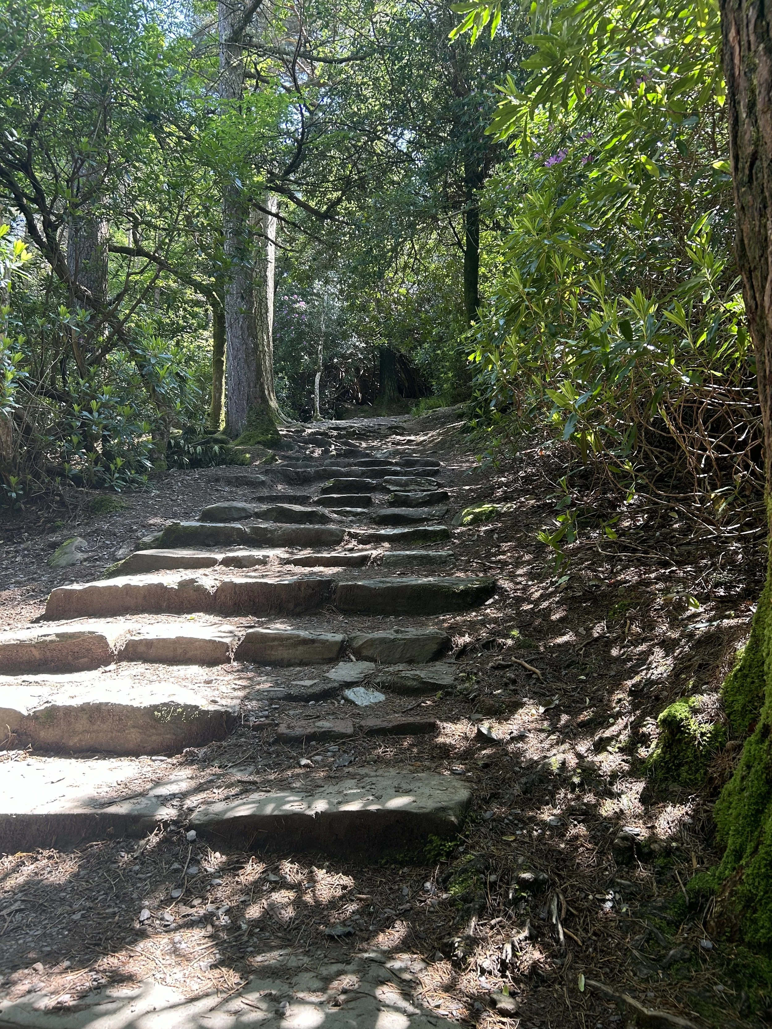 Stone Steps on the path