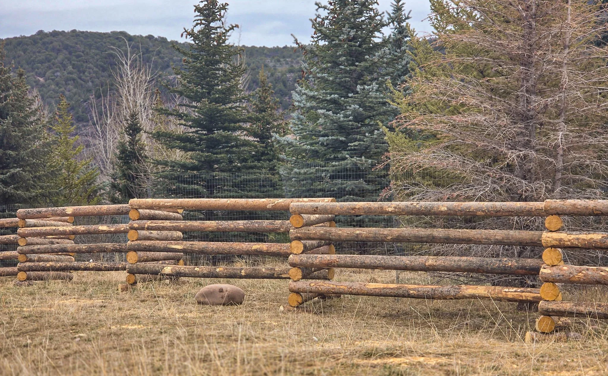 Rocky-mountain-Ranch-Services_fence_Zig-Zag_4.jpg
