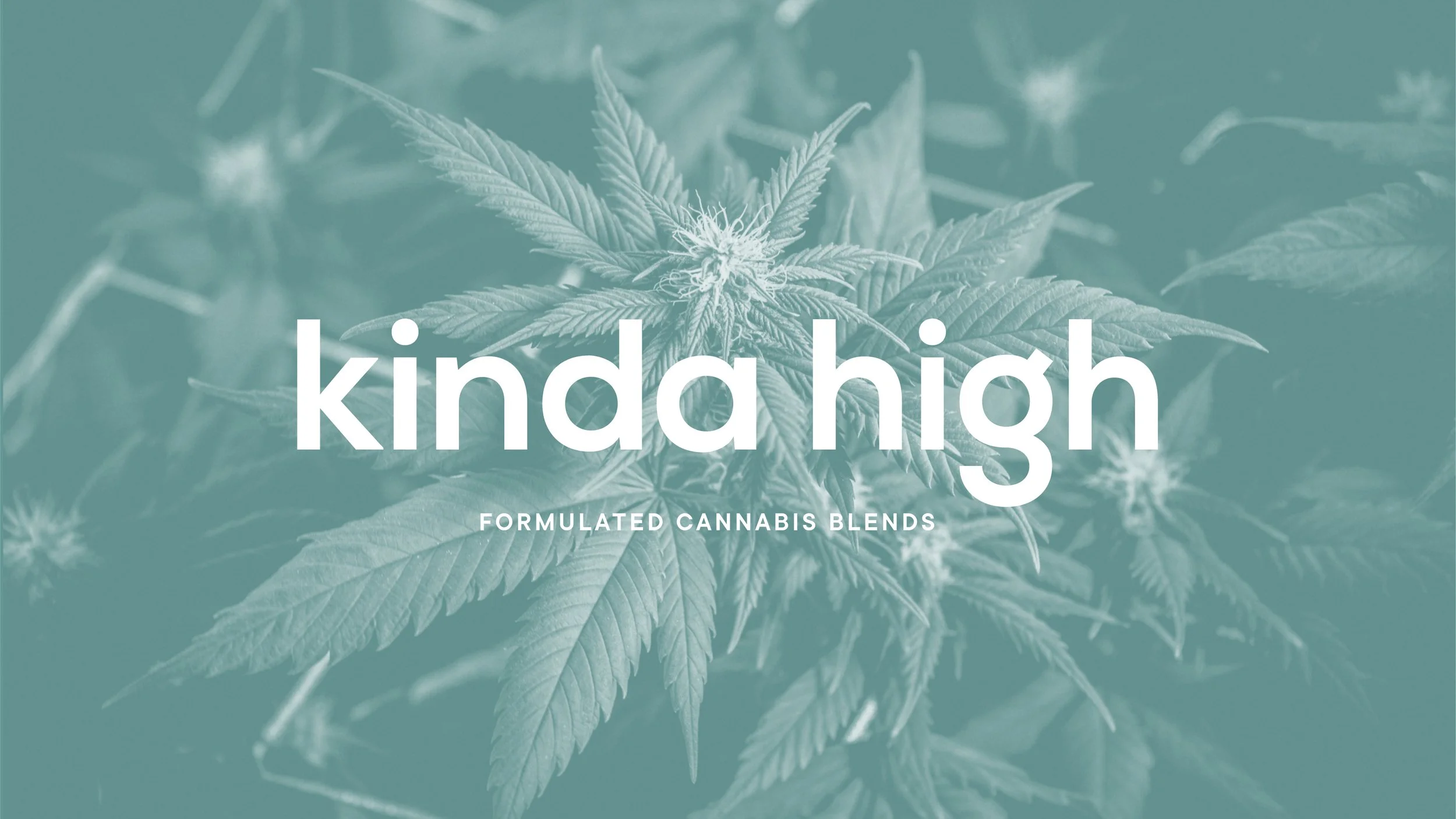 KindaHighCaseStudy-01.jpg