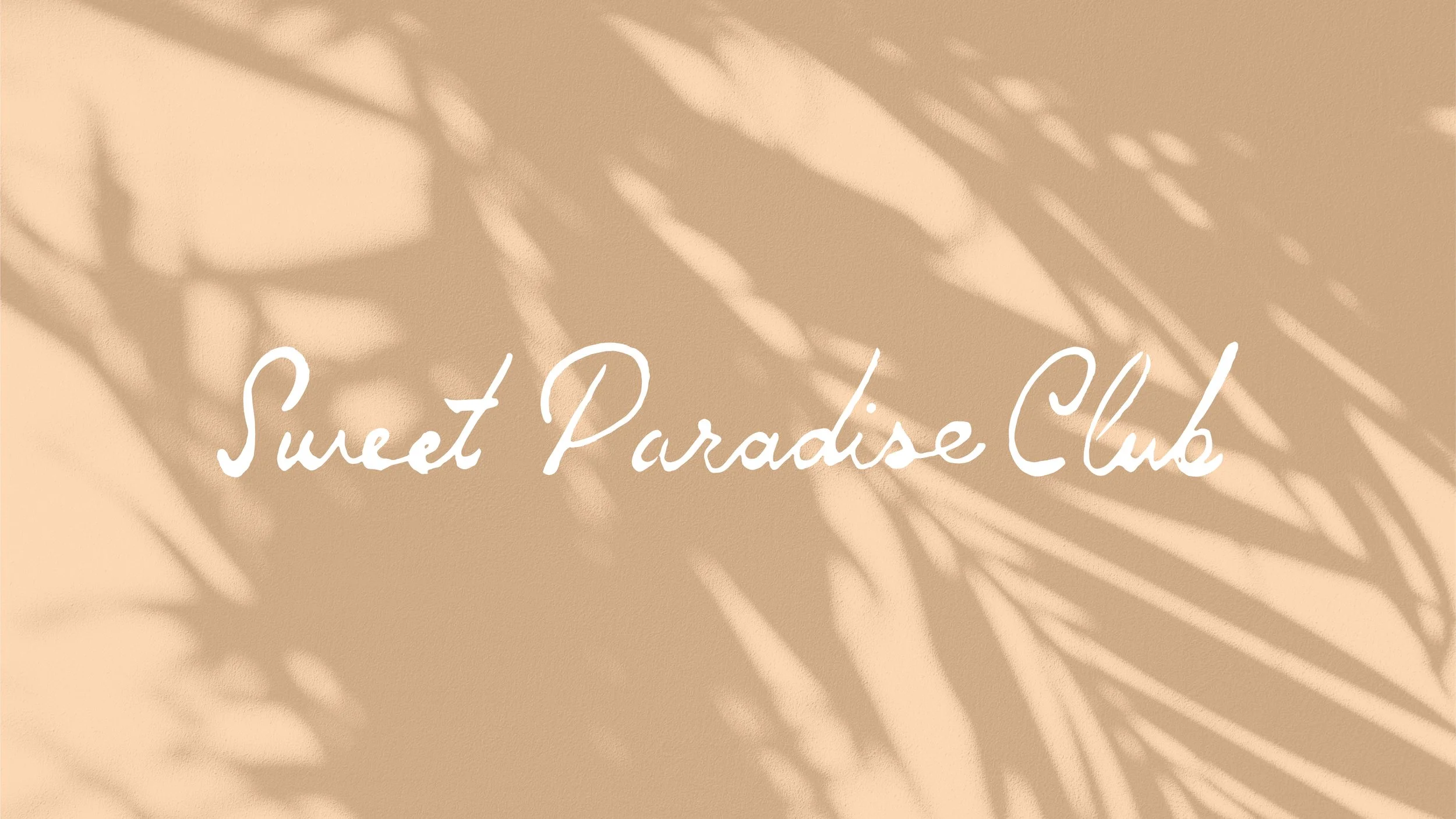 Seet ParadiseClubCaseStudy-03.jpg