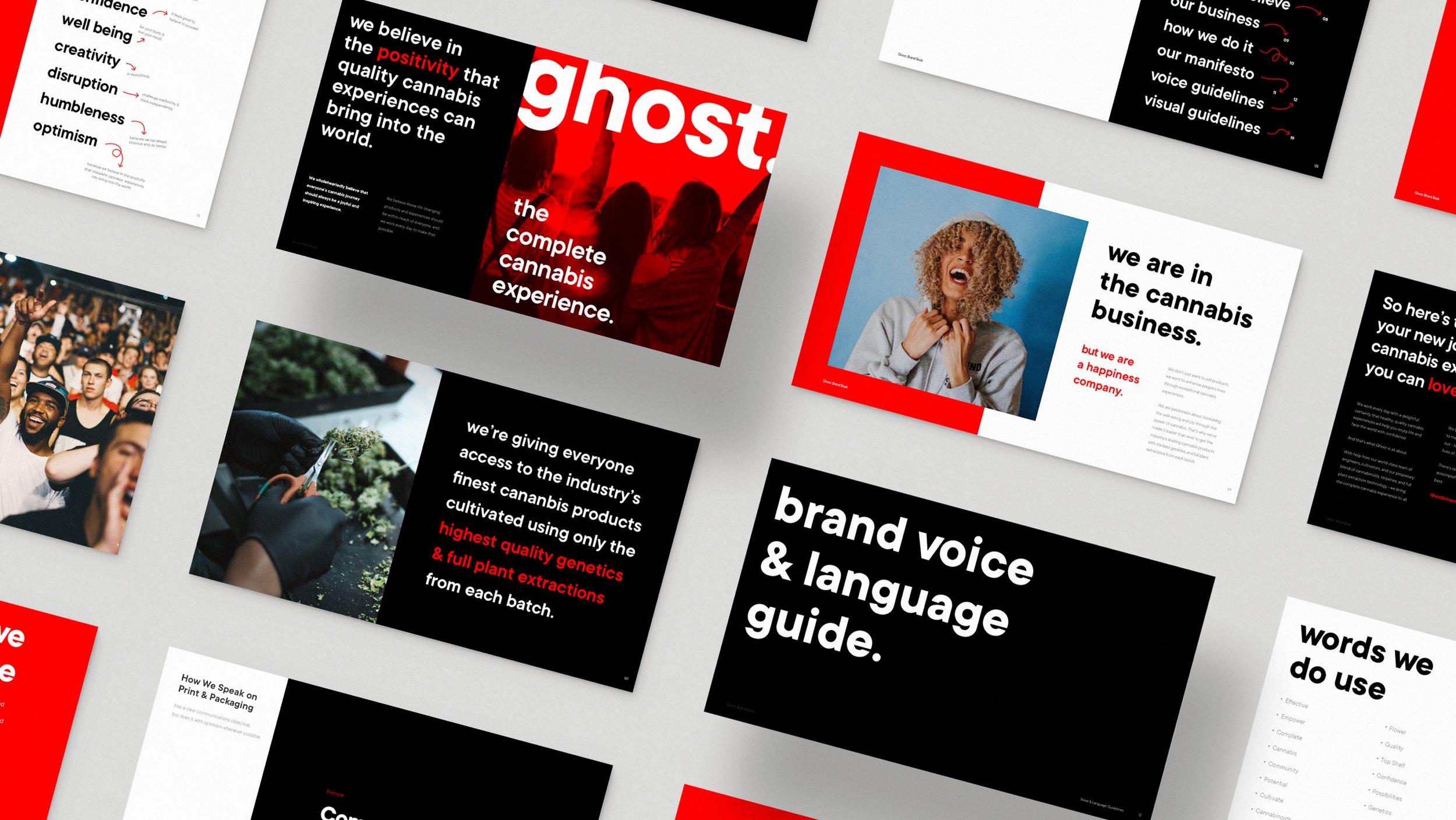 GhostCaseStudy-02.jpg