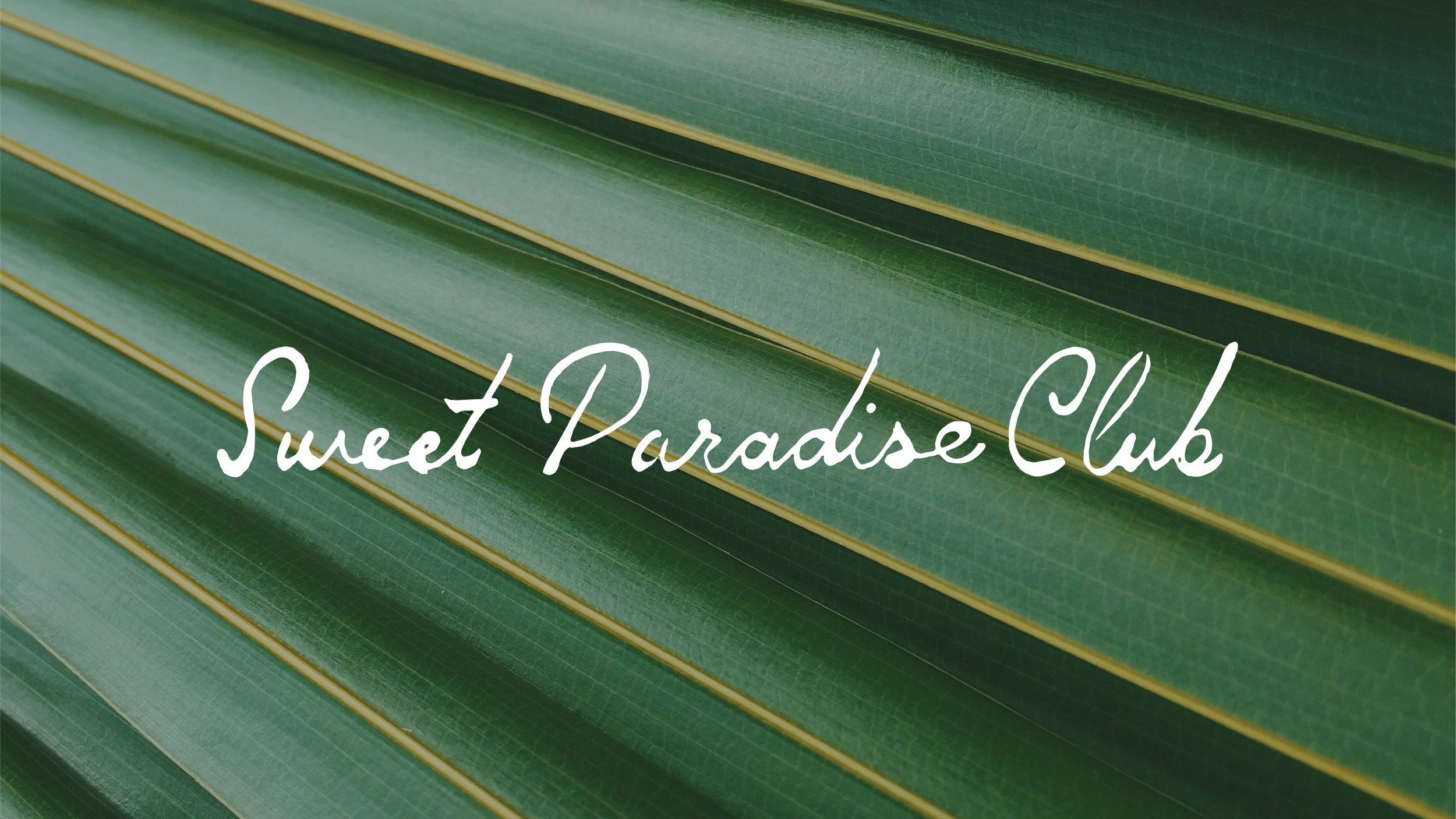 Seet ParadiseClubCaseStudy-01.jpg