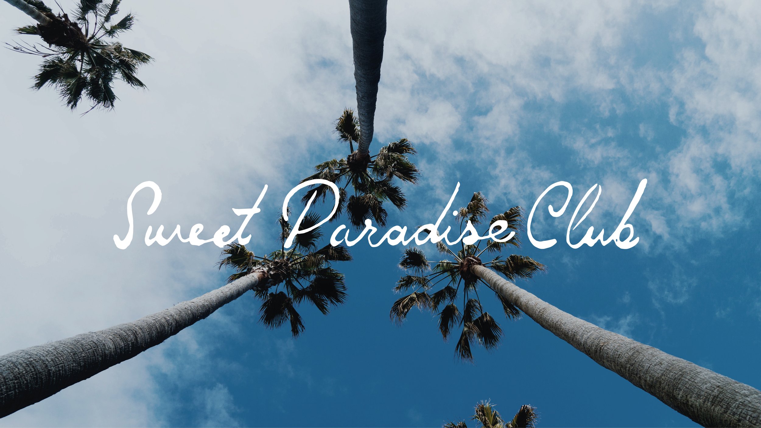 Seet ParadiseClubCaseStudy-08.jpg
