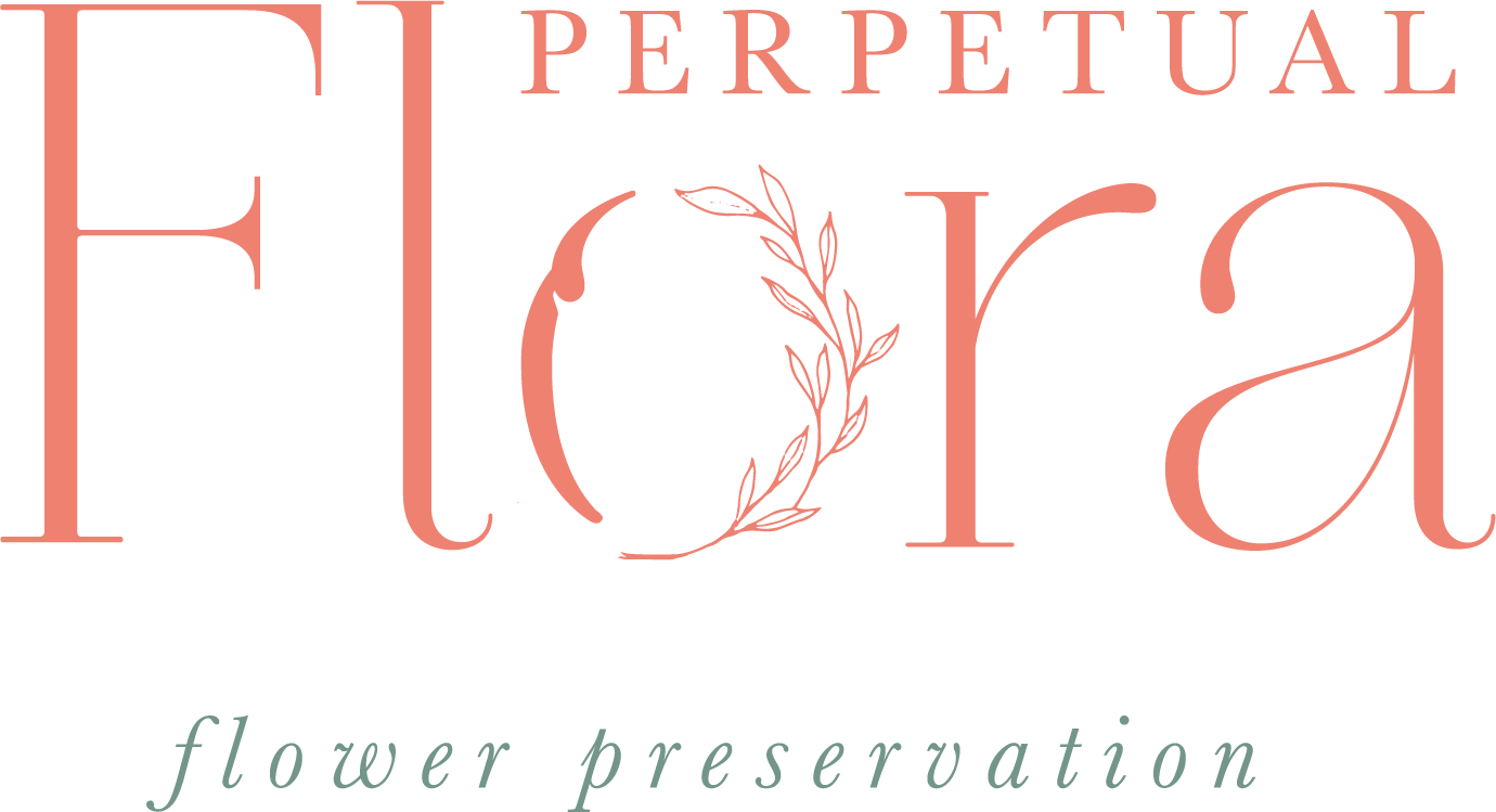 Logo of Perpetual Flora, and the words 'flower preservation' at the bottom in light green cursive.