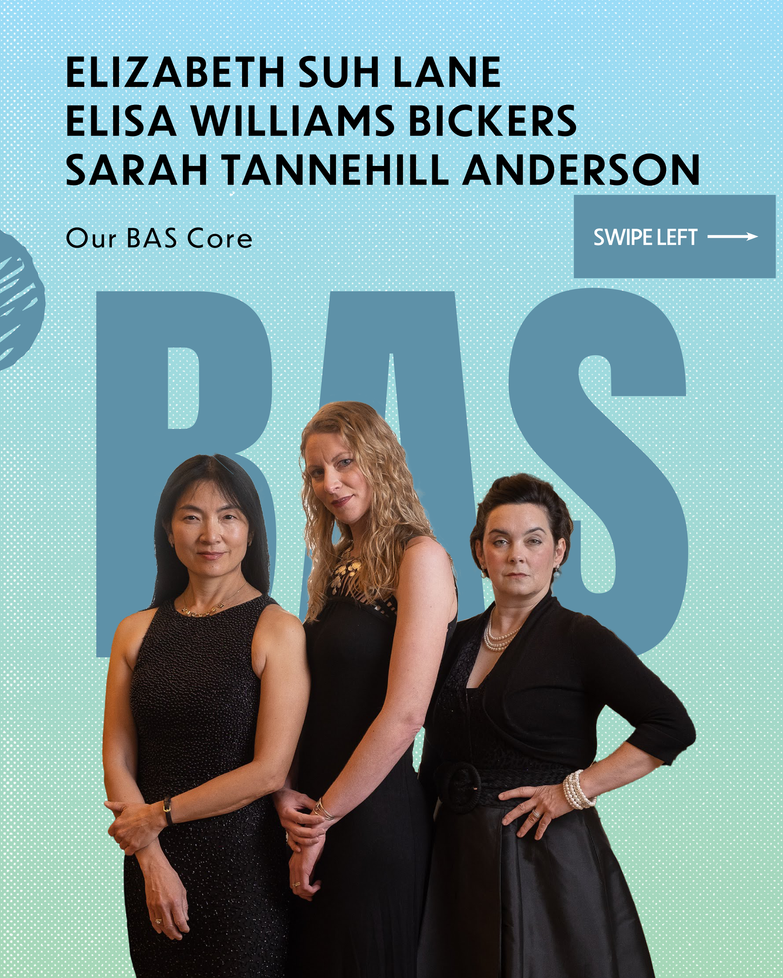 BAS MCA Carousel14.png