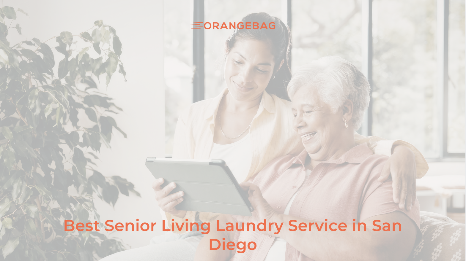 Best Senior Living Laundry Service in San Diego: A Procurement Guide
