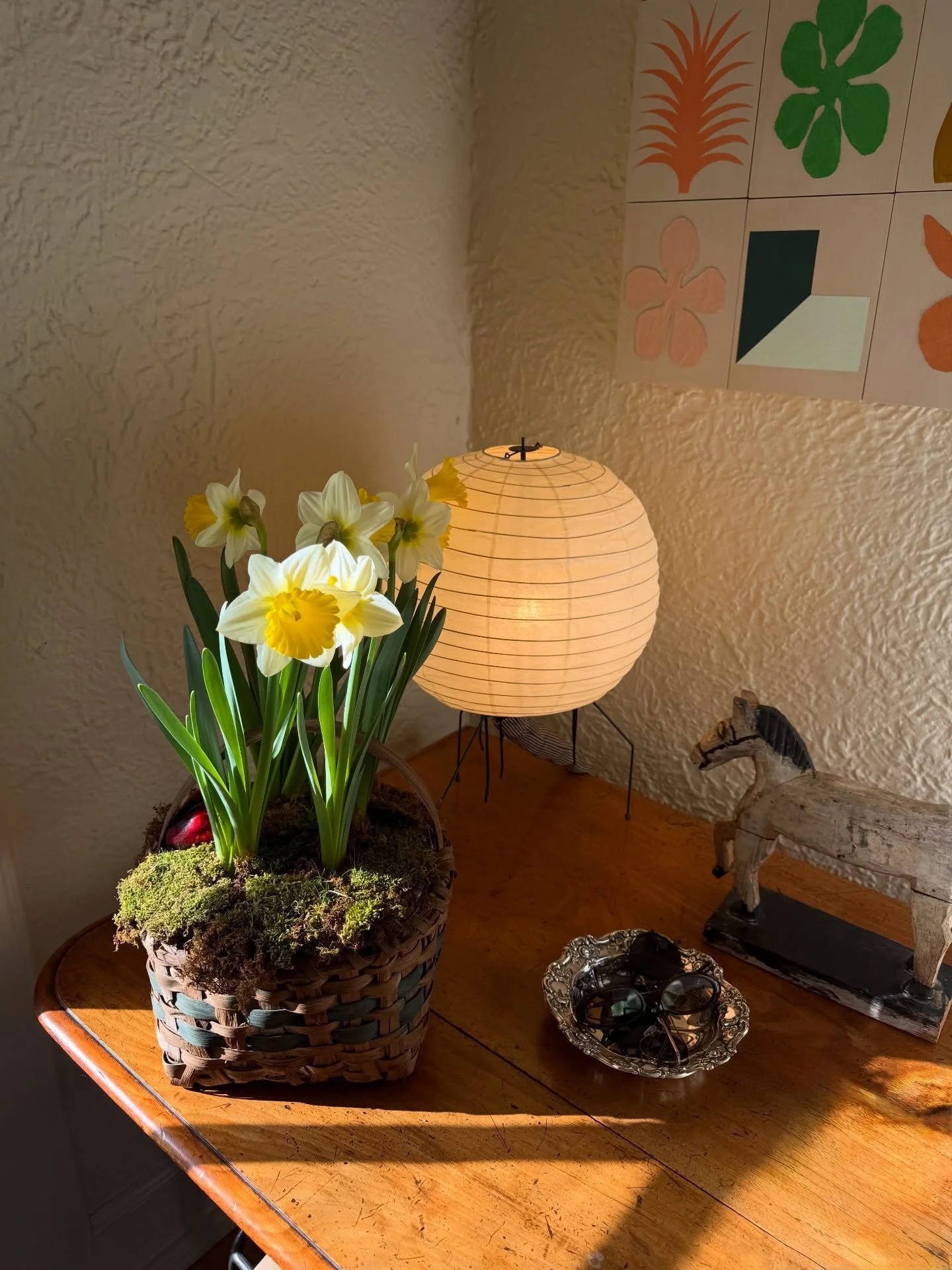 A touch of Spring 🌼