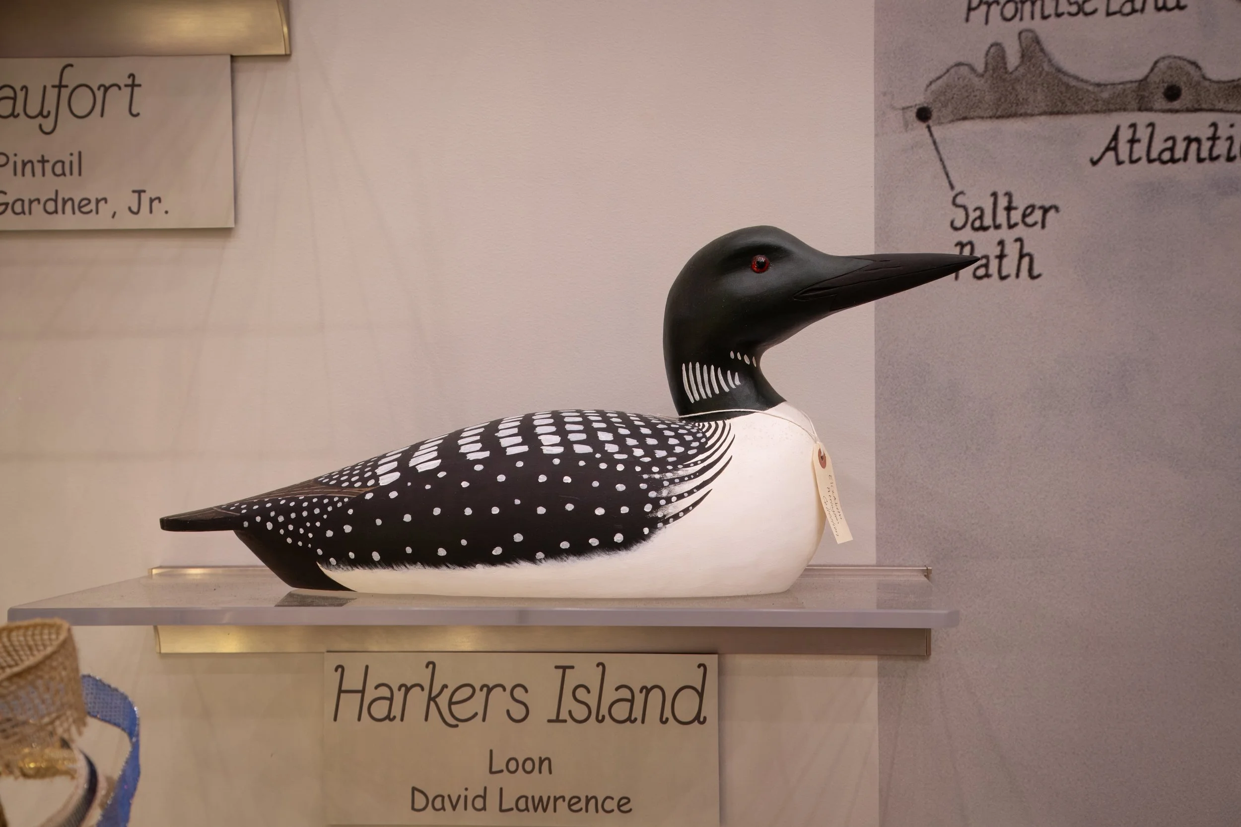 CORE_WATERFOWL_MUSEUM-0581.jpg