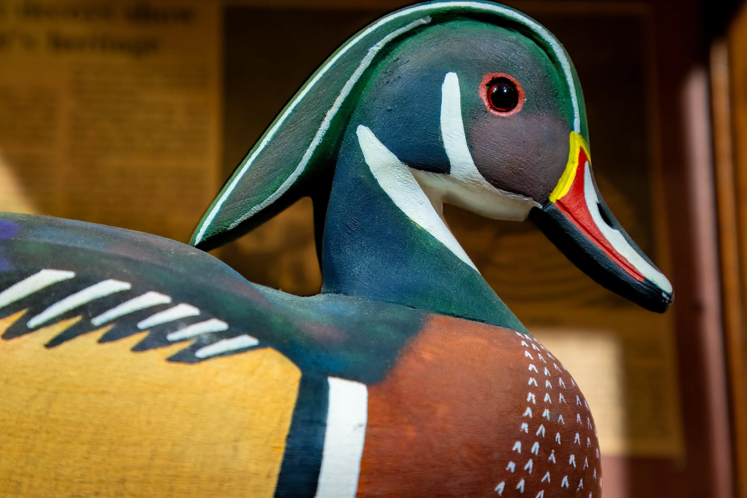 CORE_WATERFOWL_MUSEUM-0679.jpg