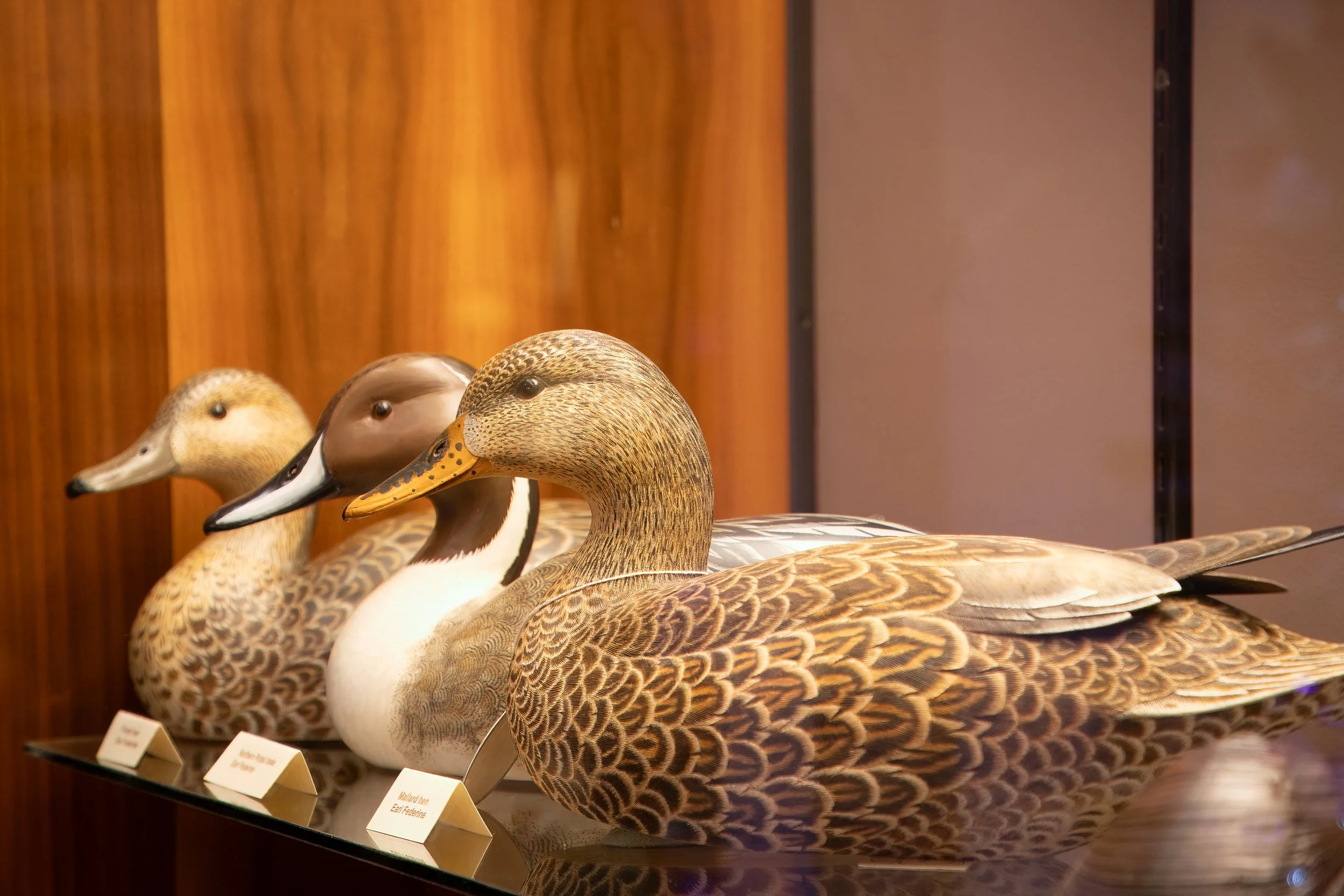 CORE_WATERFOWL_MUSEUM-0609.jpg