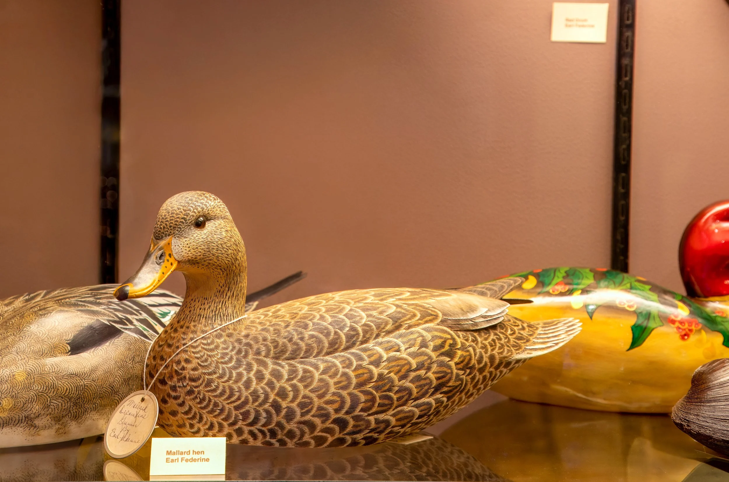 CORE_WATERFOWL_MUSEUM--3.jpg
