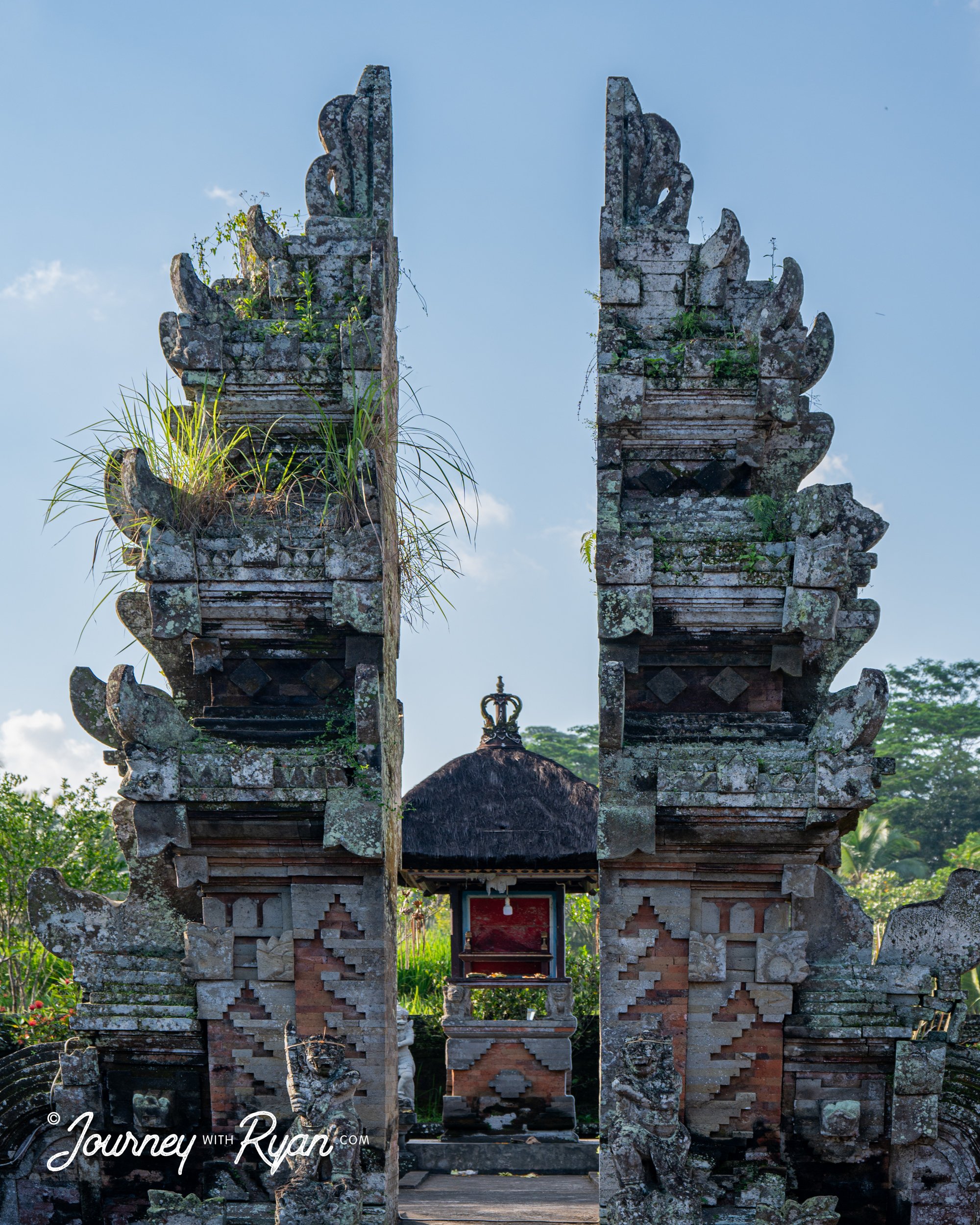 DSC_4109.jpg