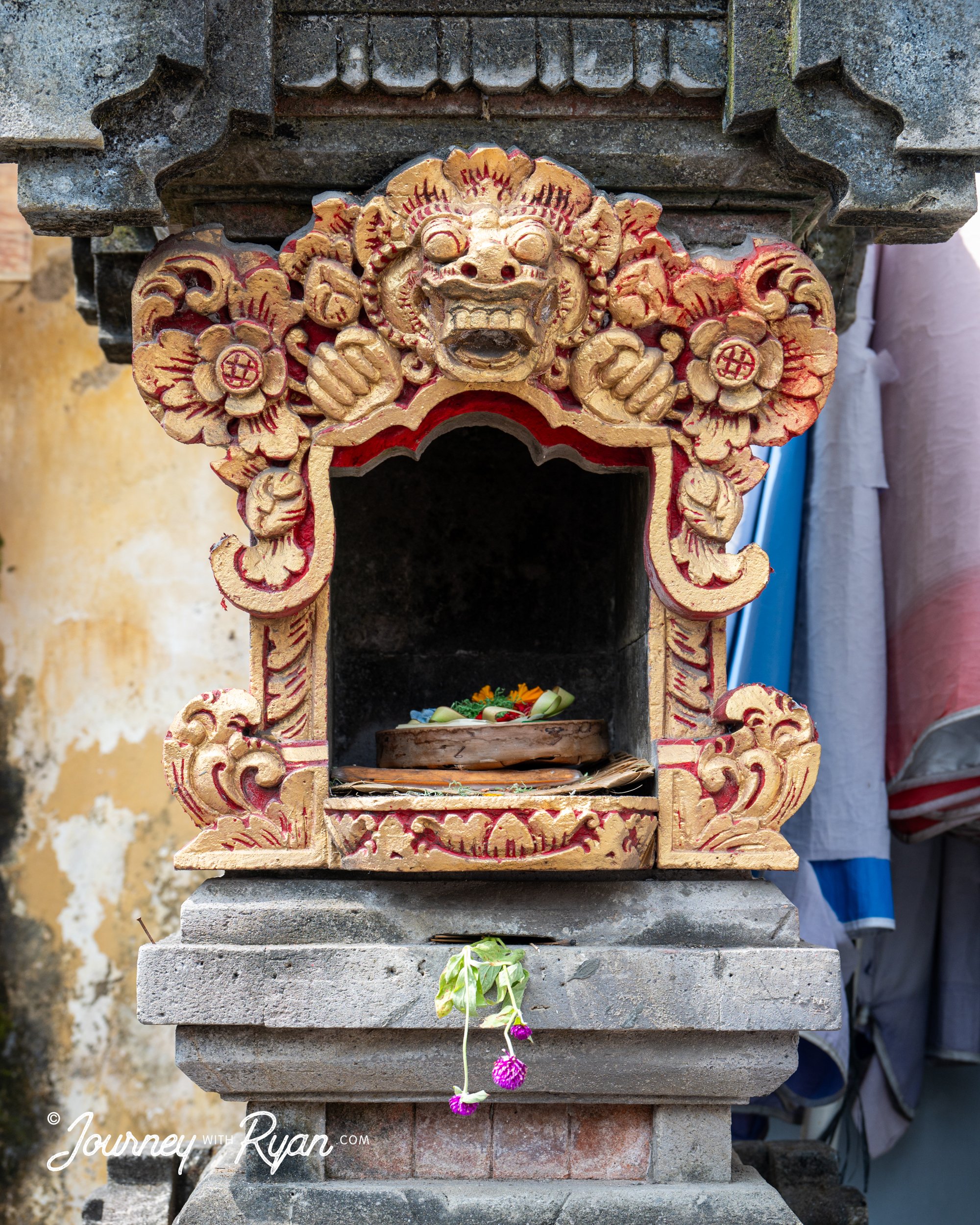 DSC_3762.jpg