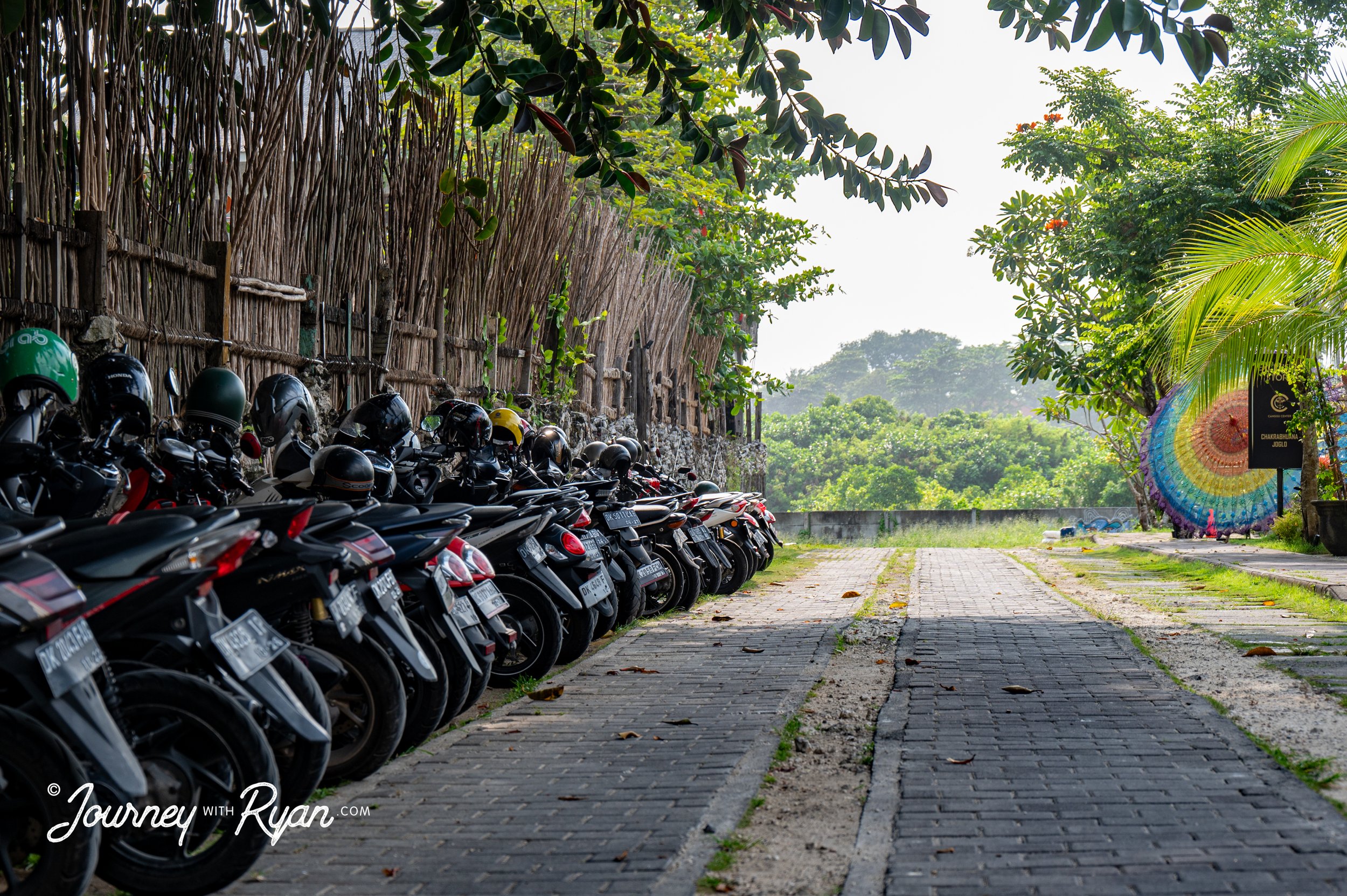 DSC_3024.jpg