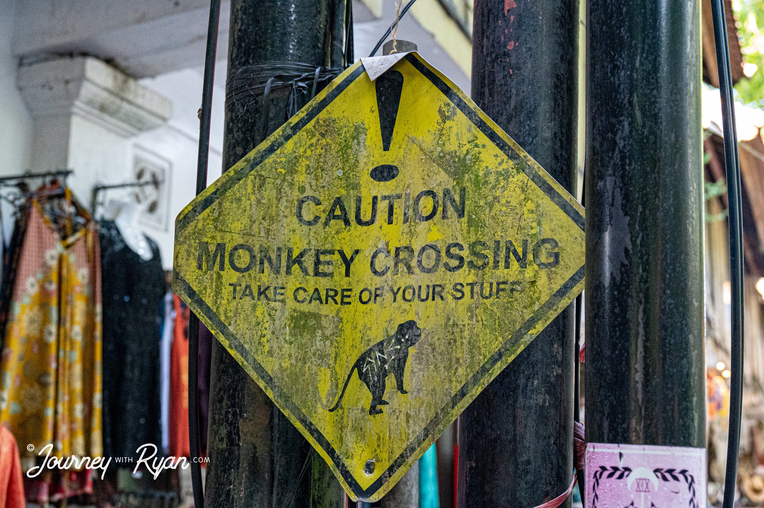 DSC_3840.jpg