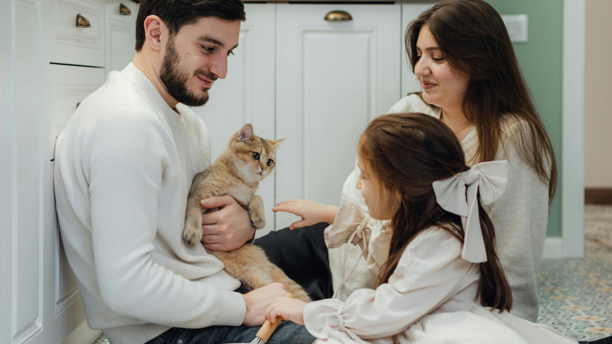 Do Cats See Humans as Family? Understanding Feline Social Bonds