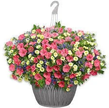 Mixed Flowering Basket