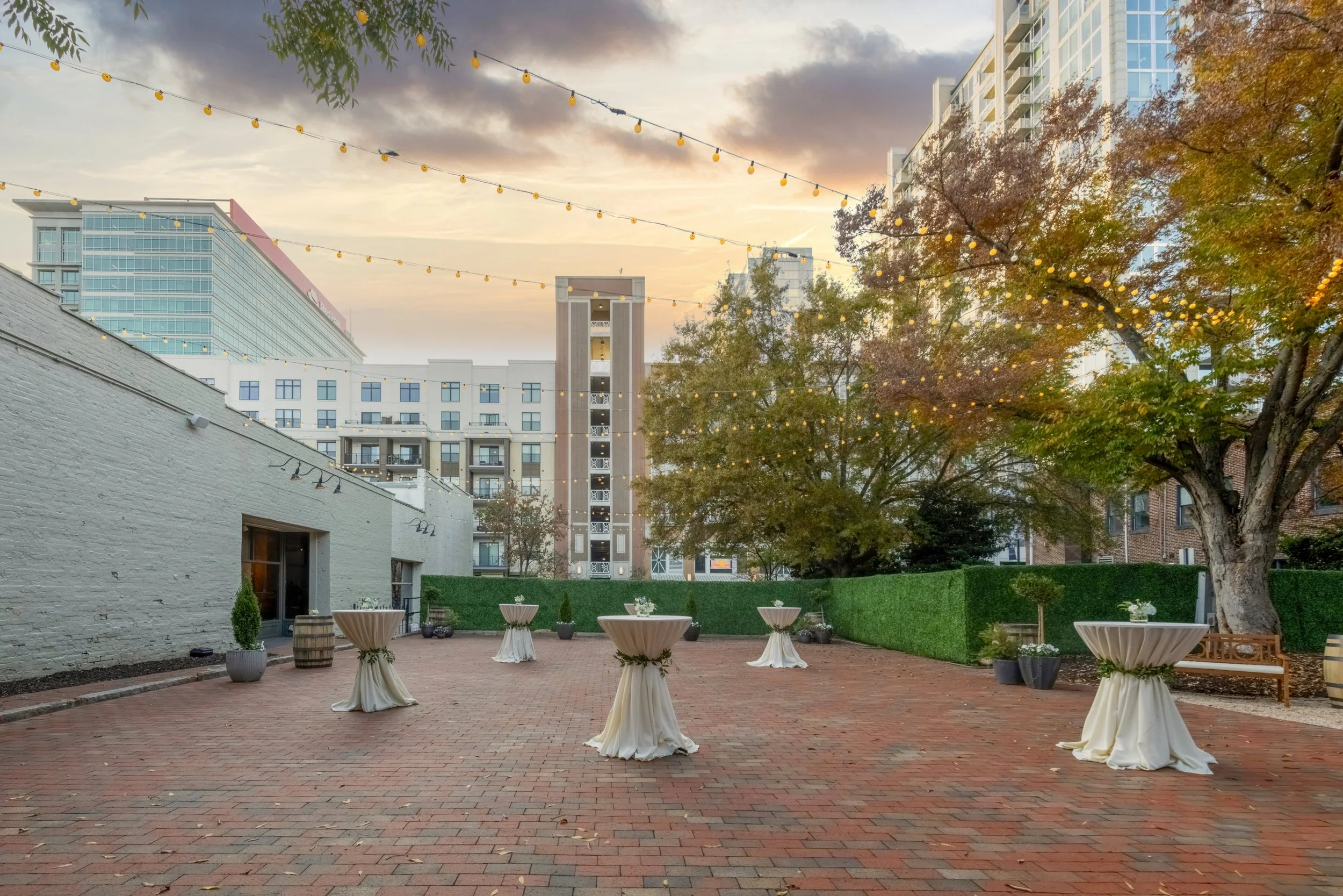 The Grove - Nov 4th 2022 - Event - 0284.jpg