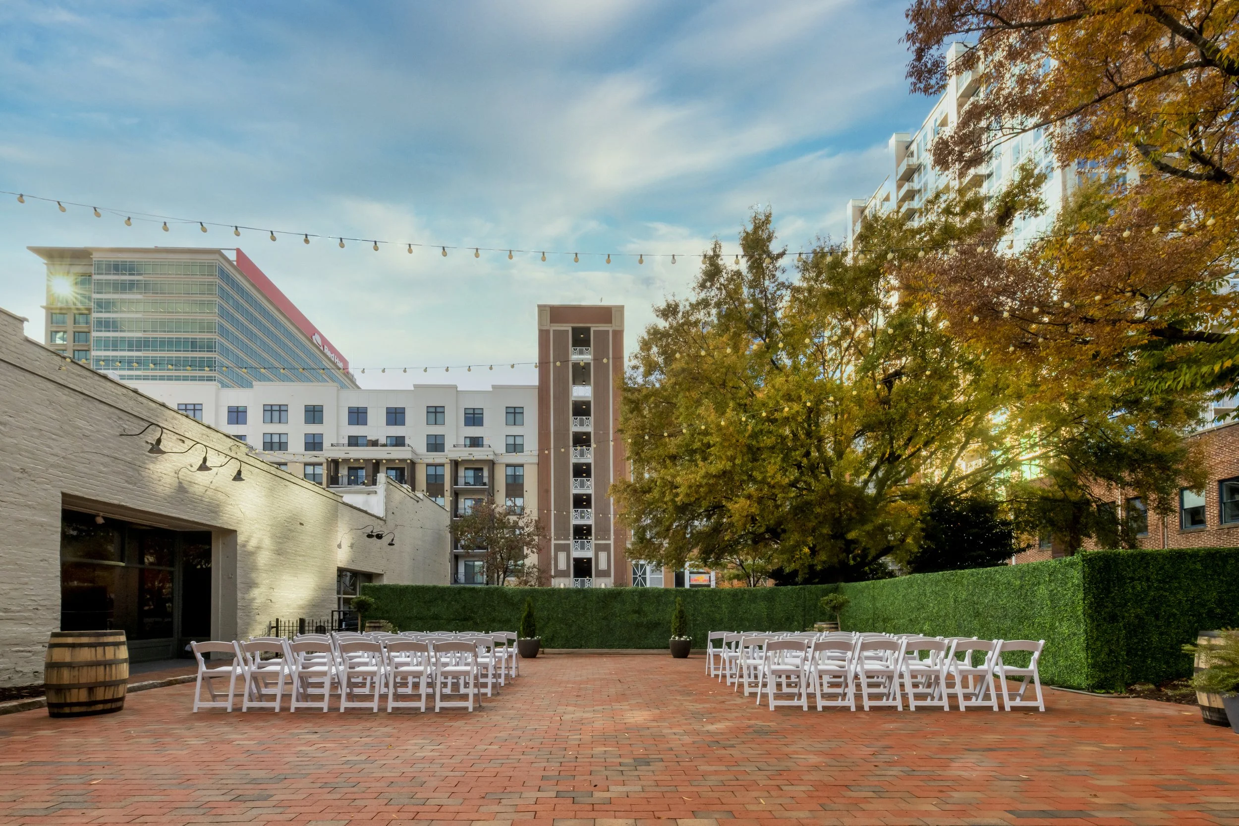 The Grove - Nov 2022 - 0793.jpg