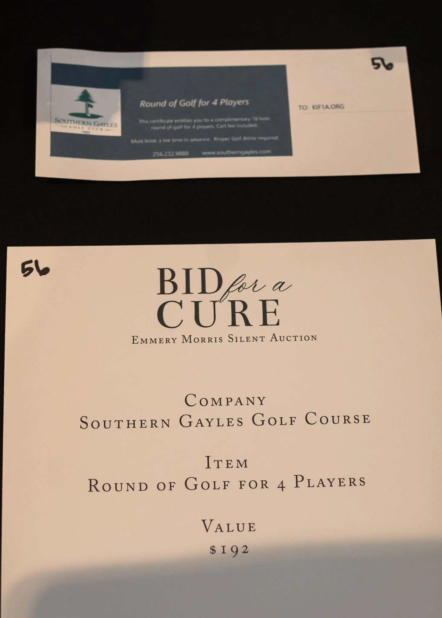 BidforaCure24-32.jpg