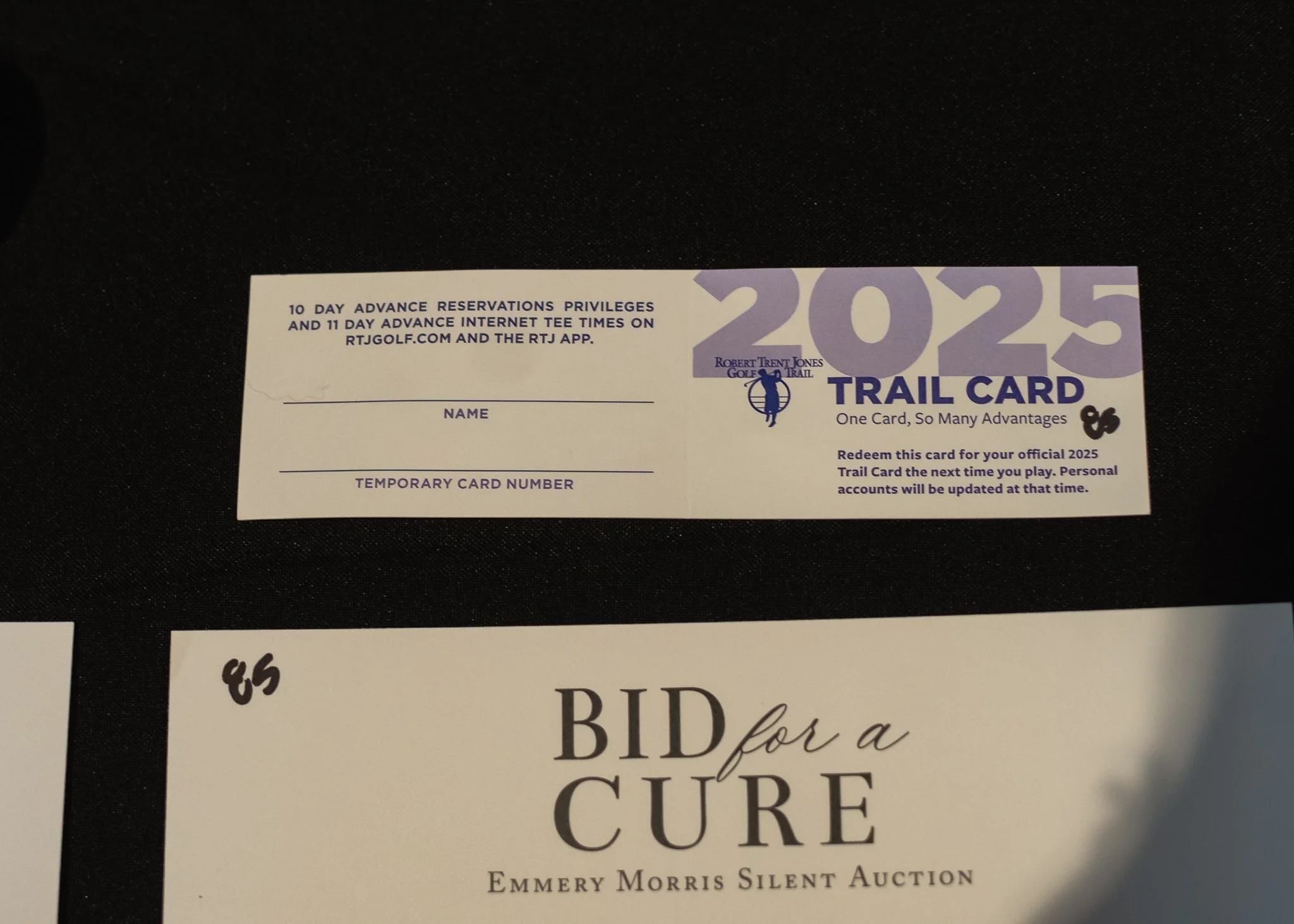 BidforaCure24-59.jpg