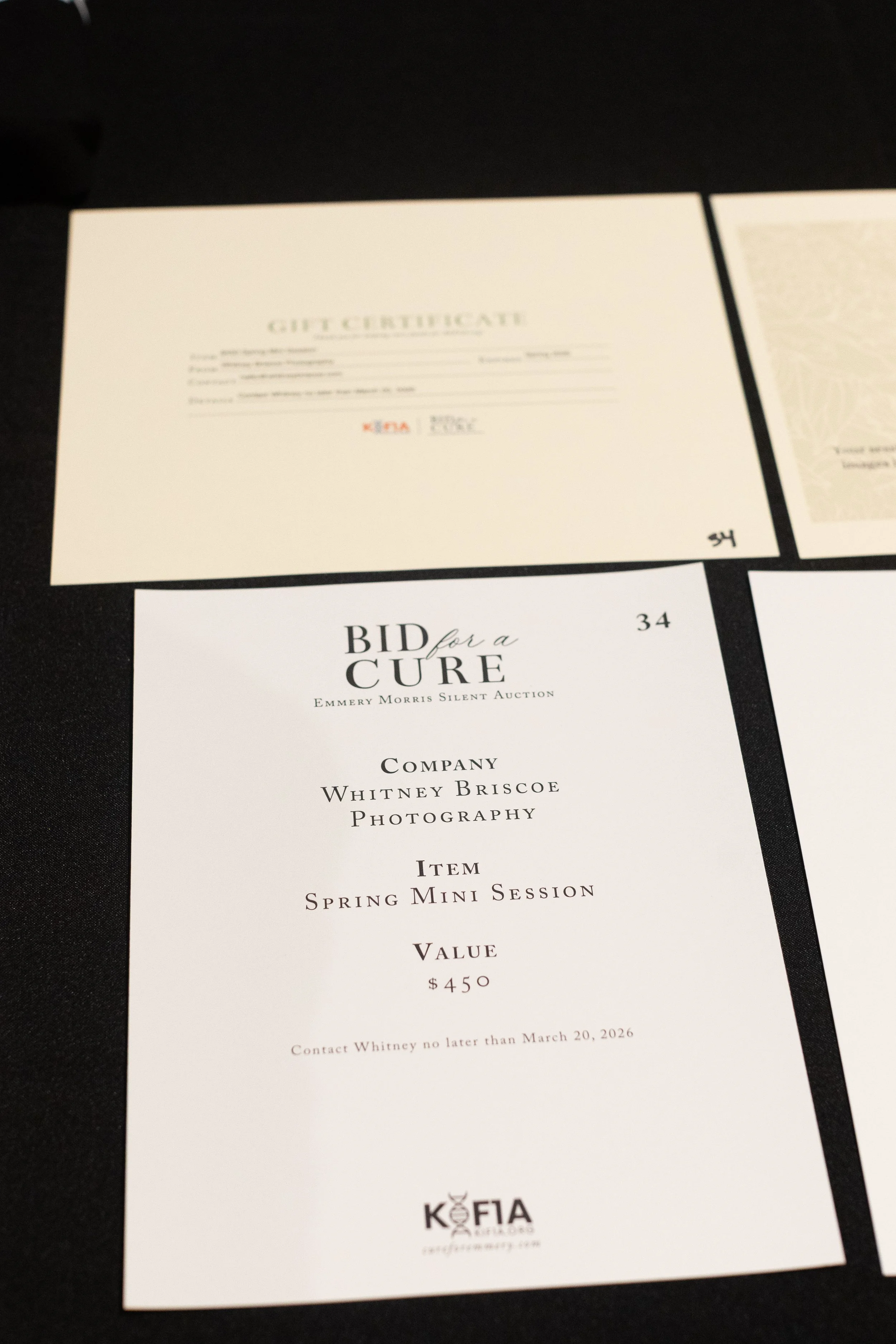 Bid For A Cure 2025-42.jpg