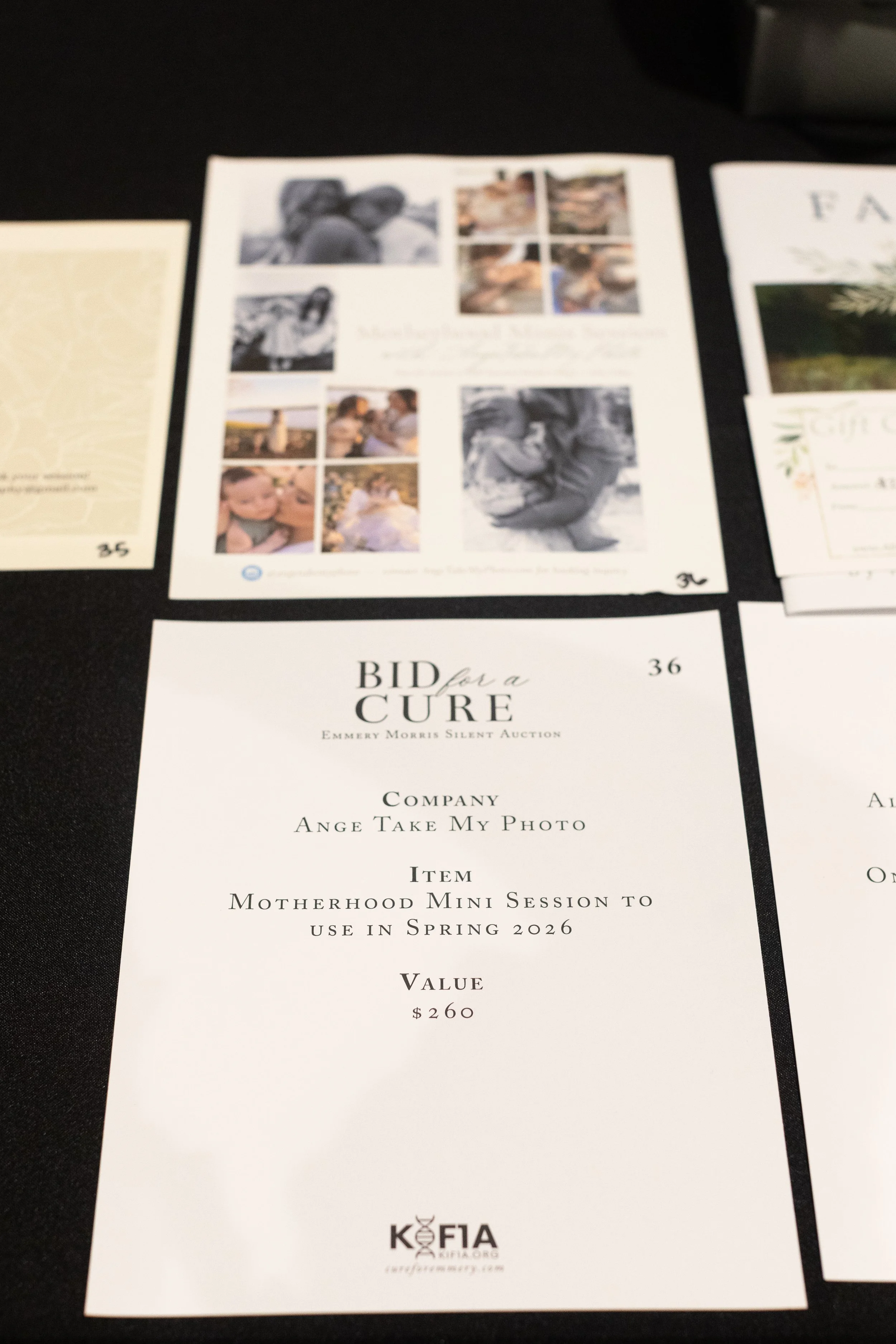 Bid For A Cure 2025-44.jpg