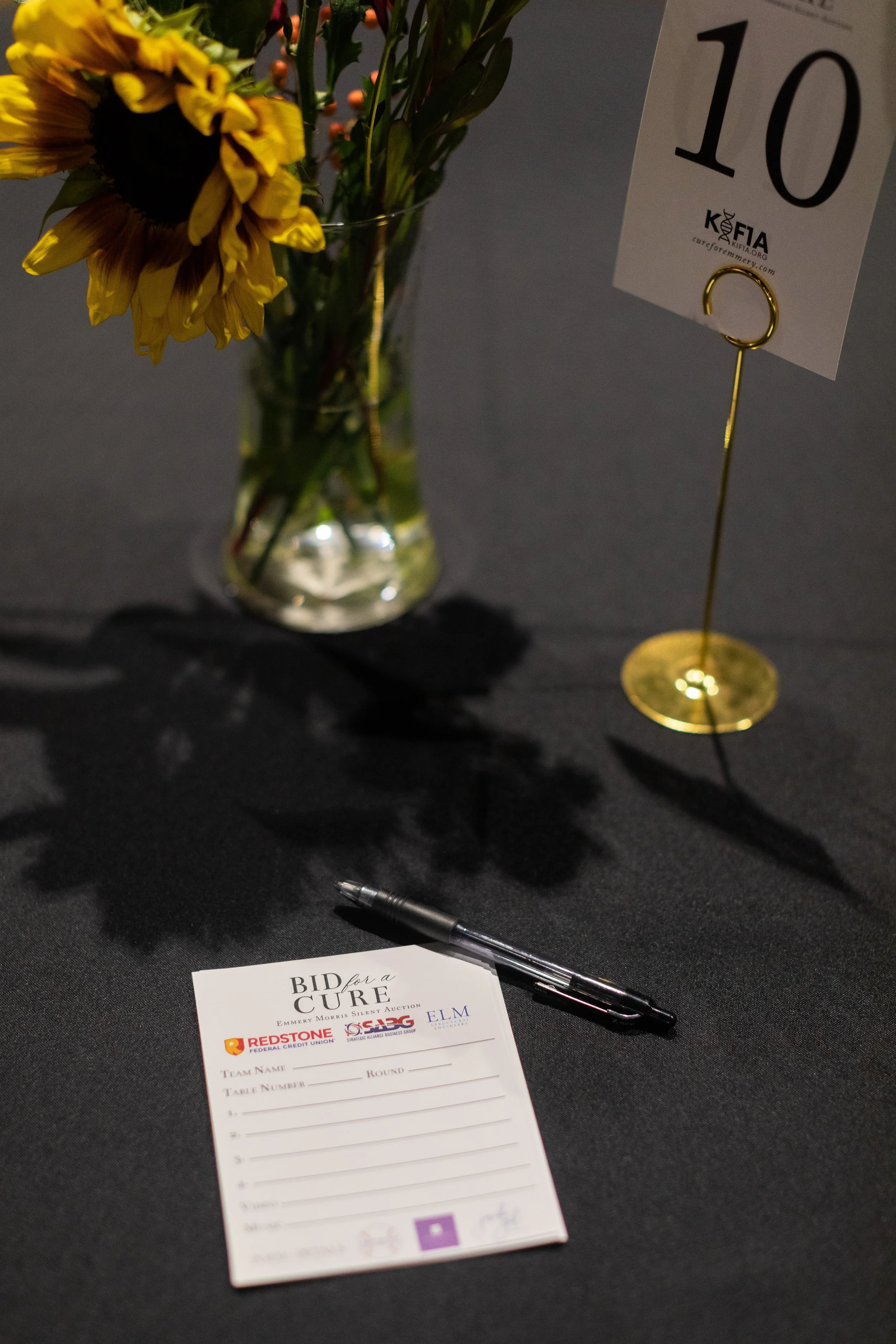 Bid For A Cure 2025-7.jpeg
