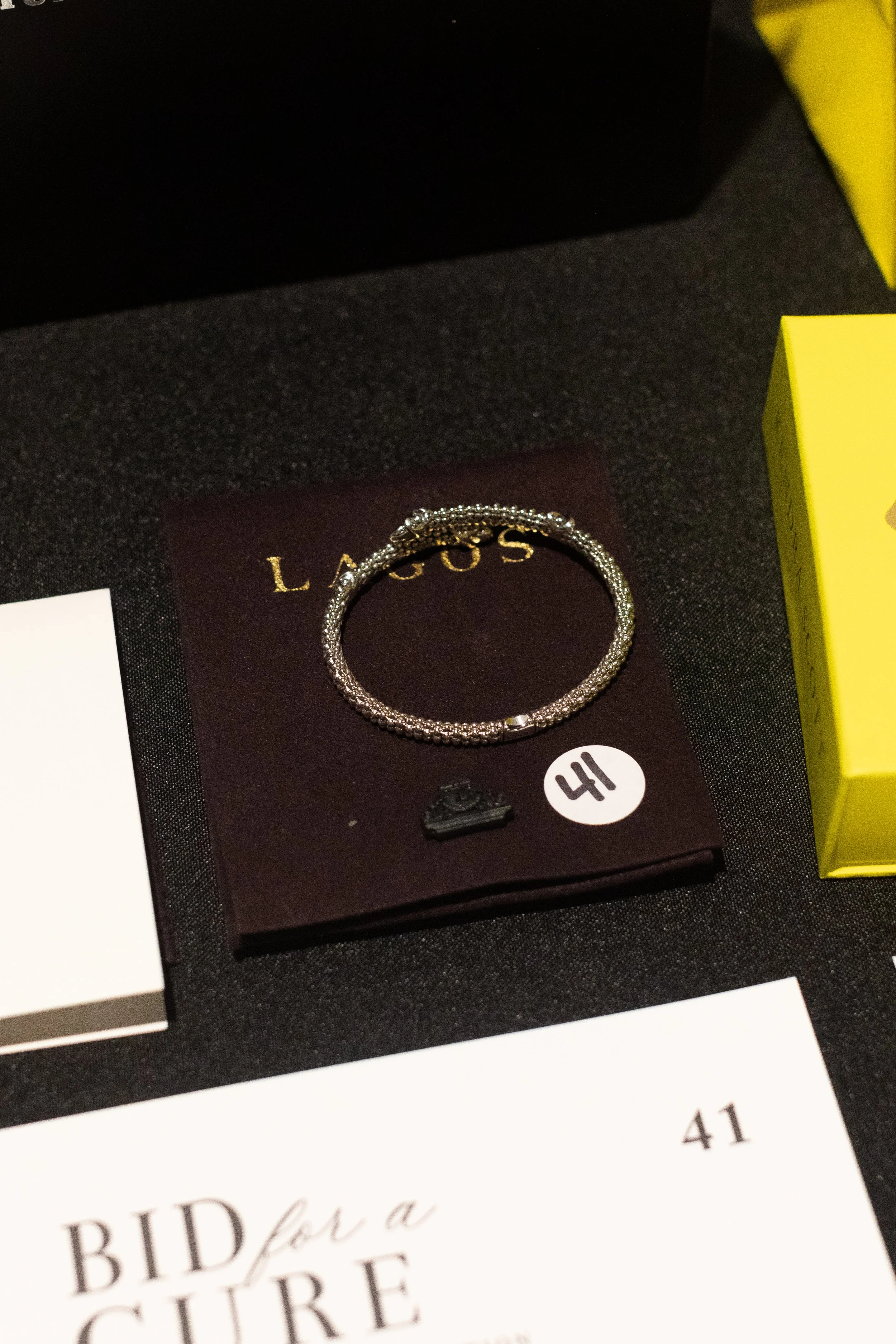 Bid For A Cure 2025-53.jpg