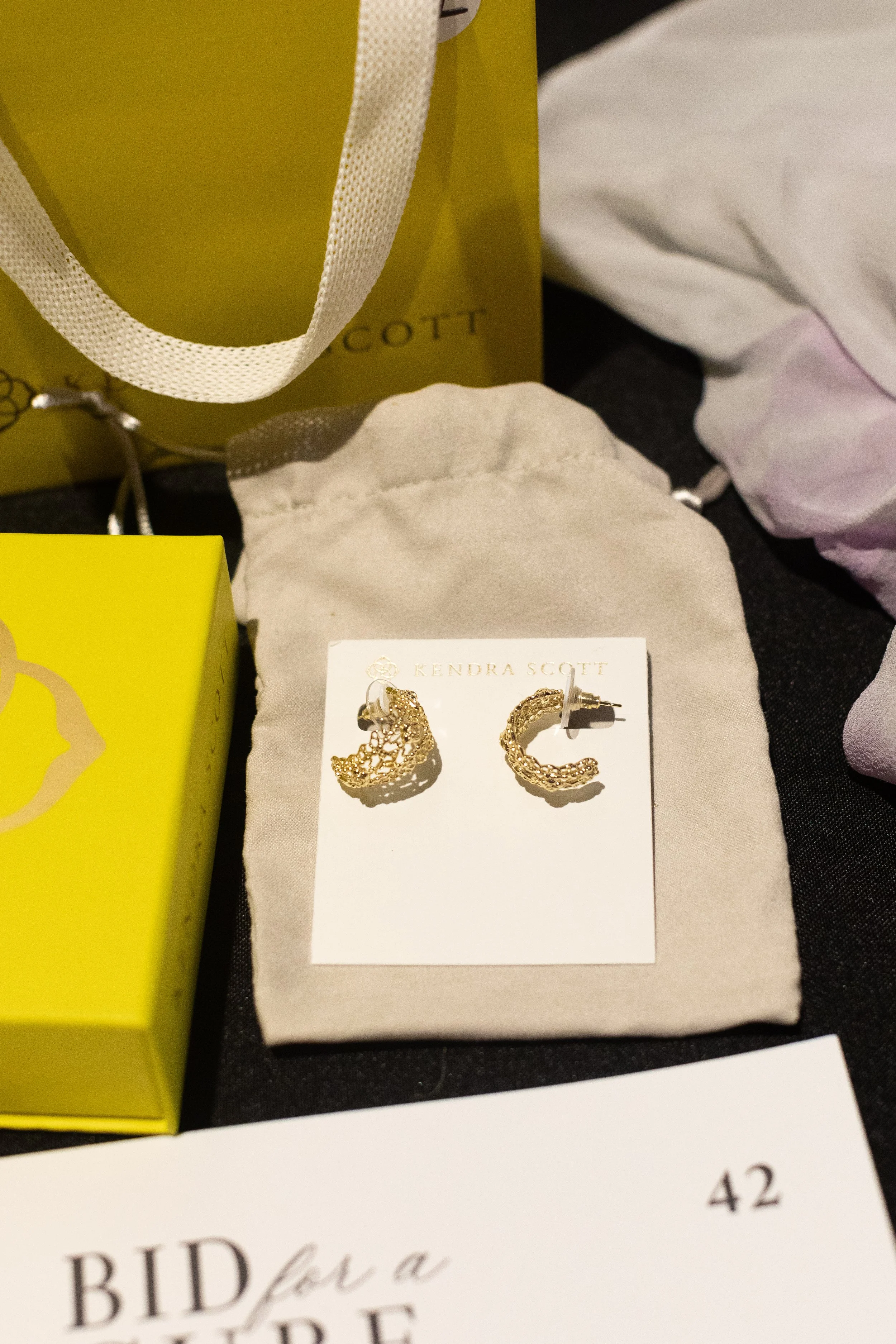 Bid For A Cure 2025-55.jpg