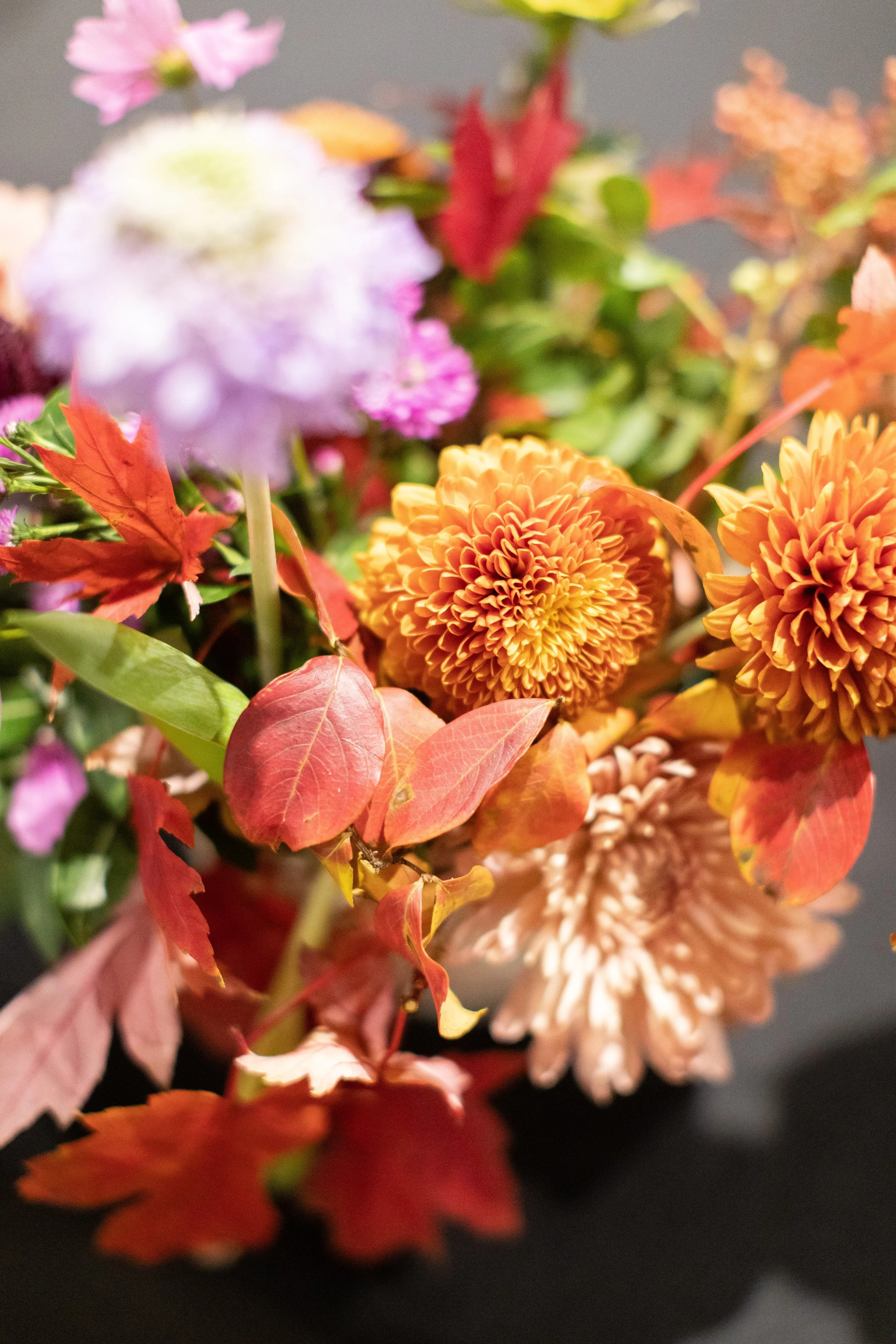 Bid For A Cure 2025-18.jpeg