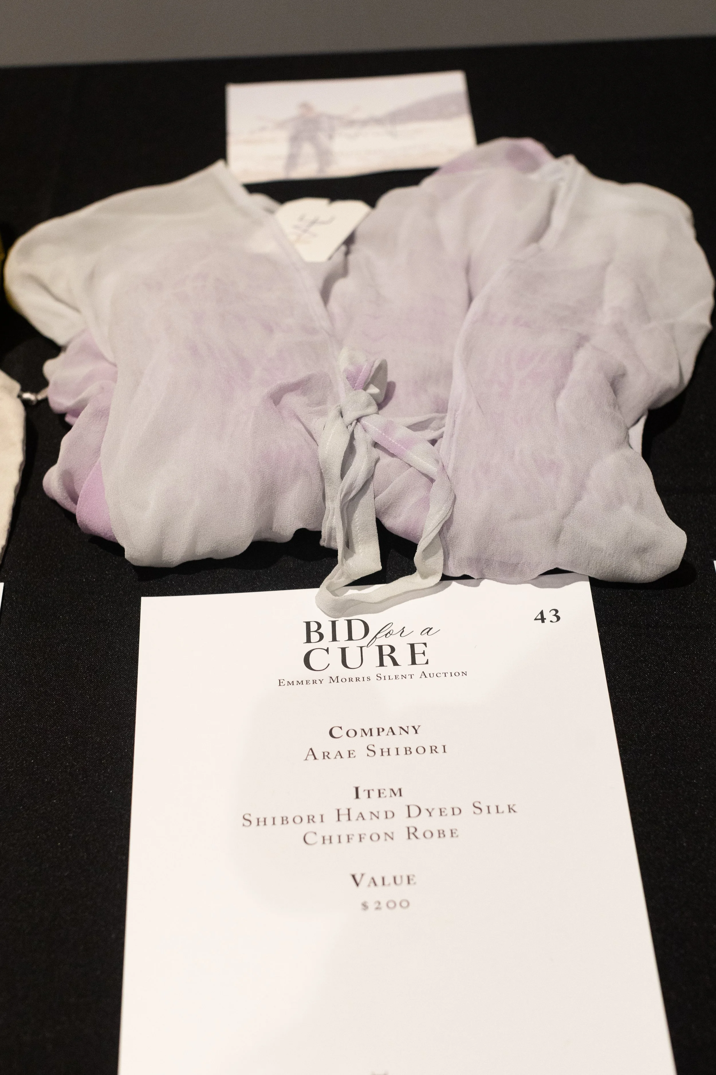 Bid For A Cure 2025-56.jpg