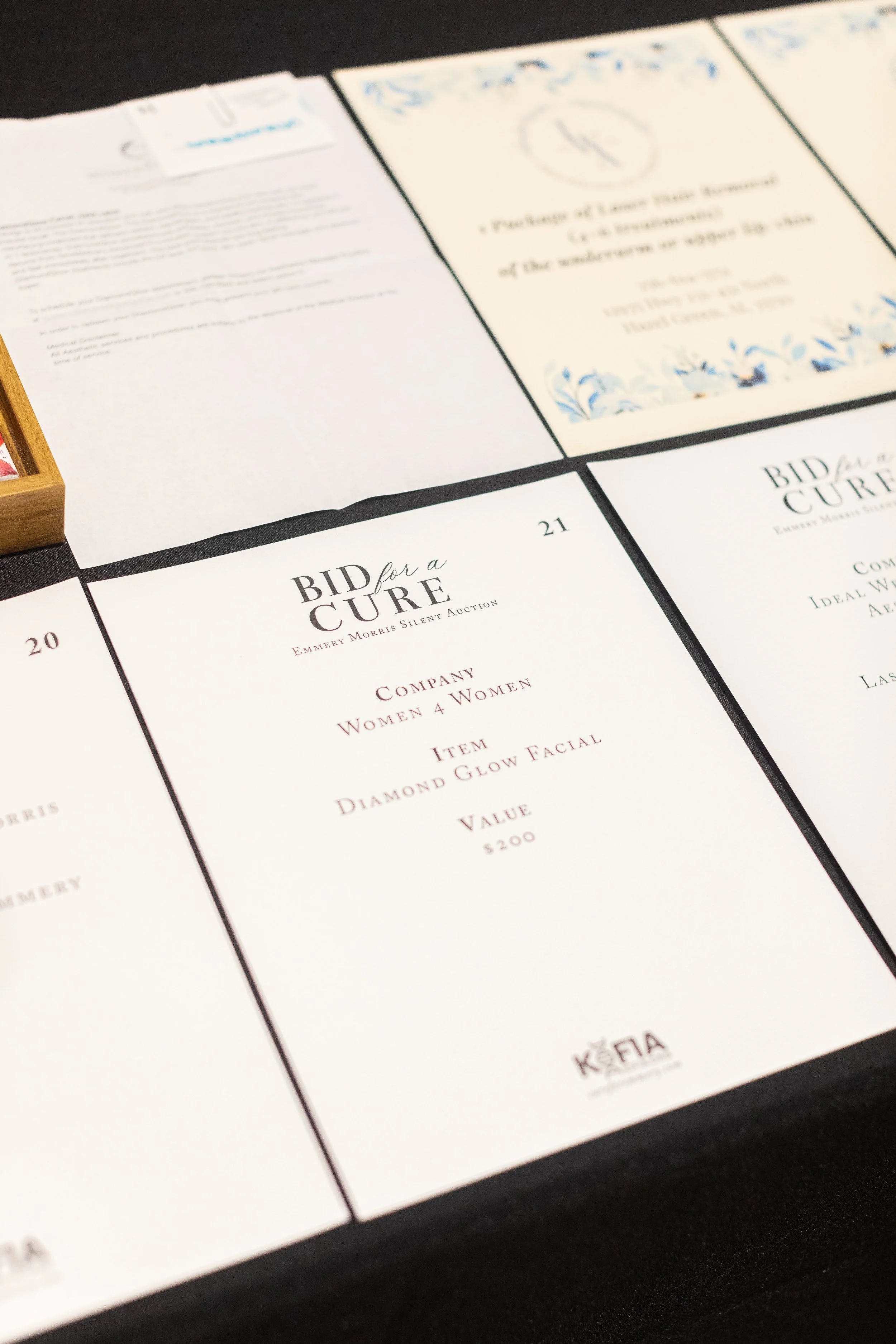 Bid For A Cure 2025-22.jpeg
