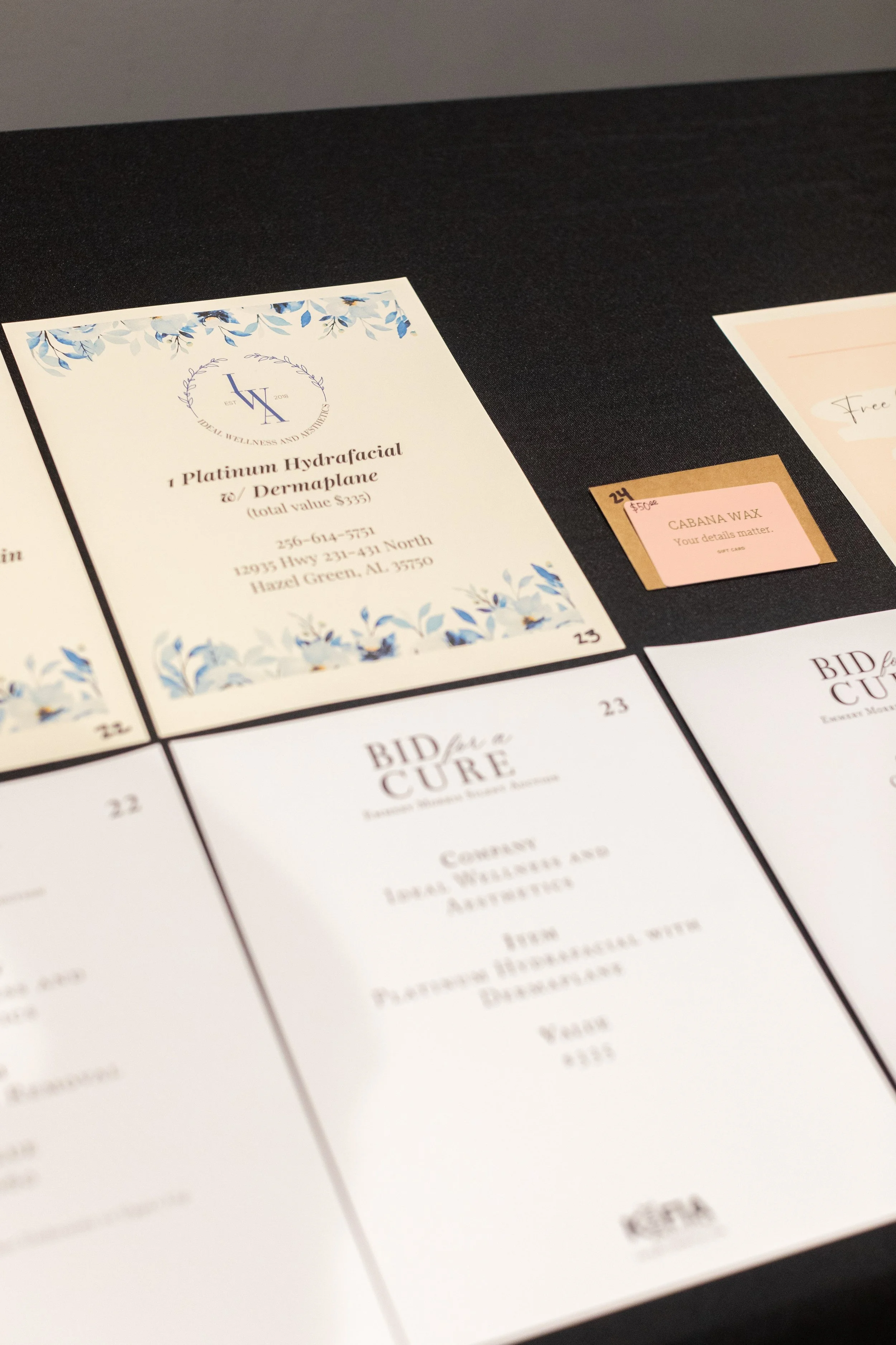 Bid For A Cure 2025-28.jpeg