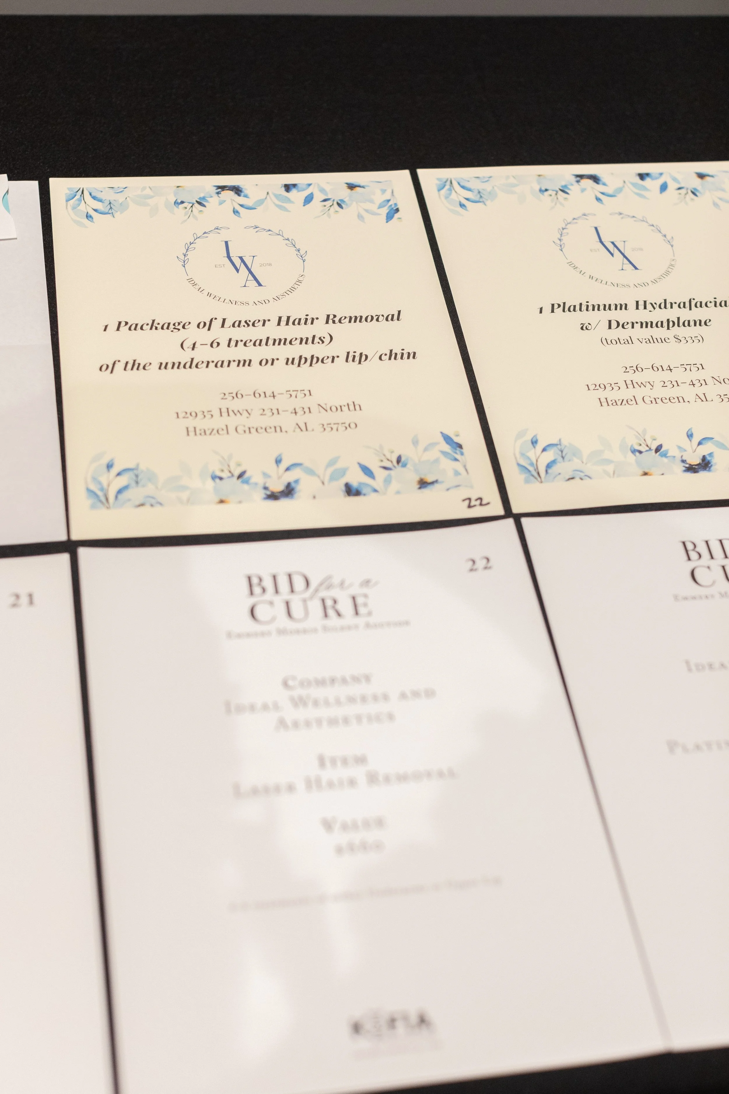 Bid For A Cure 2025-27.jpeg