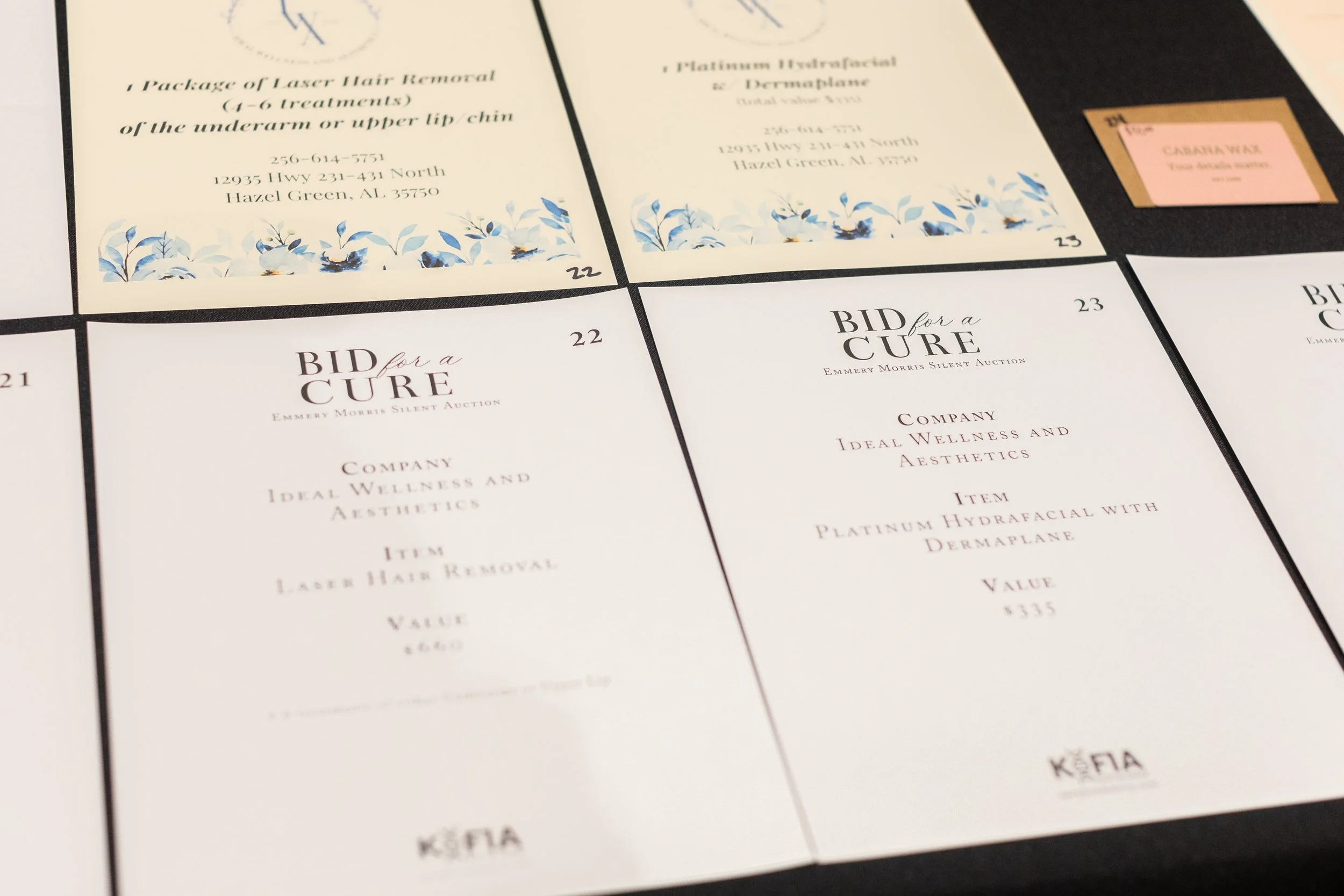 Bid For A Cure 2025-29.jpeg