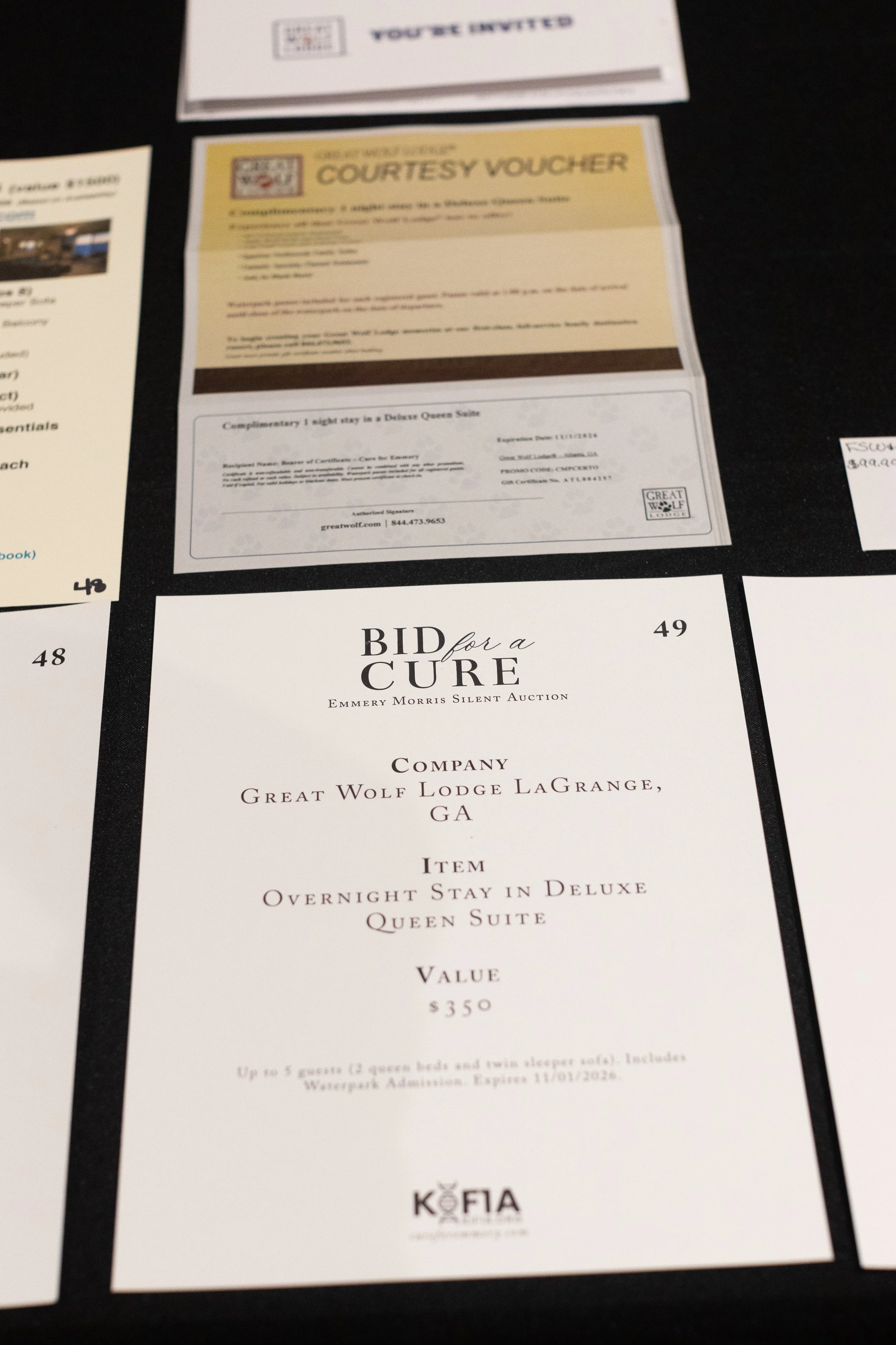 Bid For A Cure 2025-66.jpg