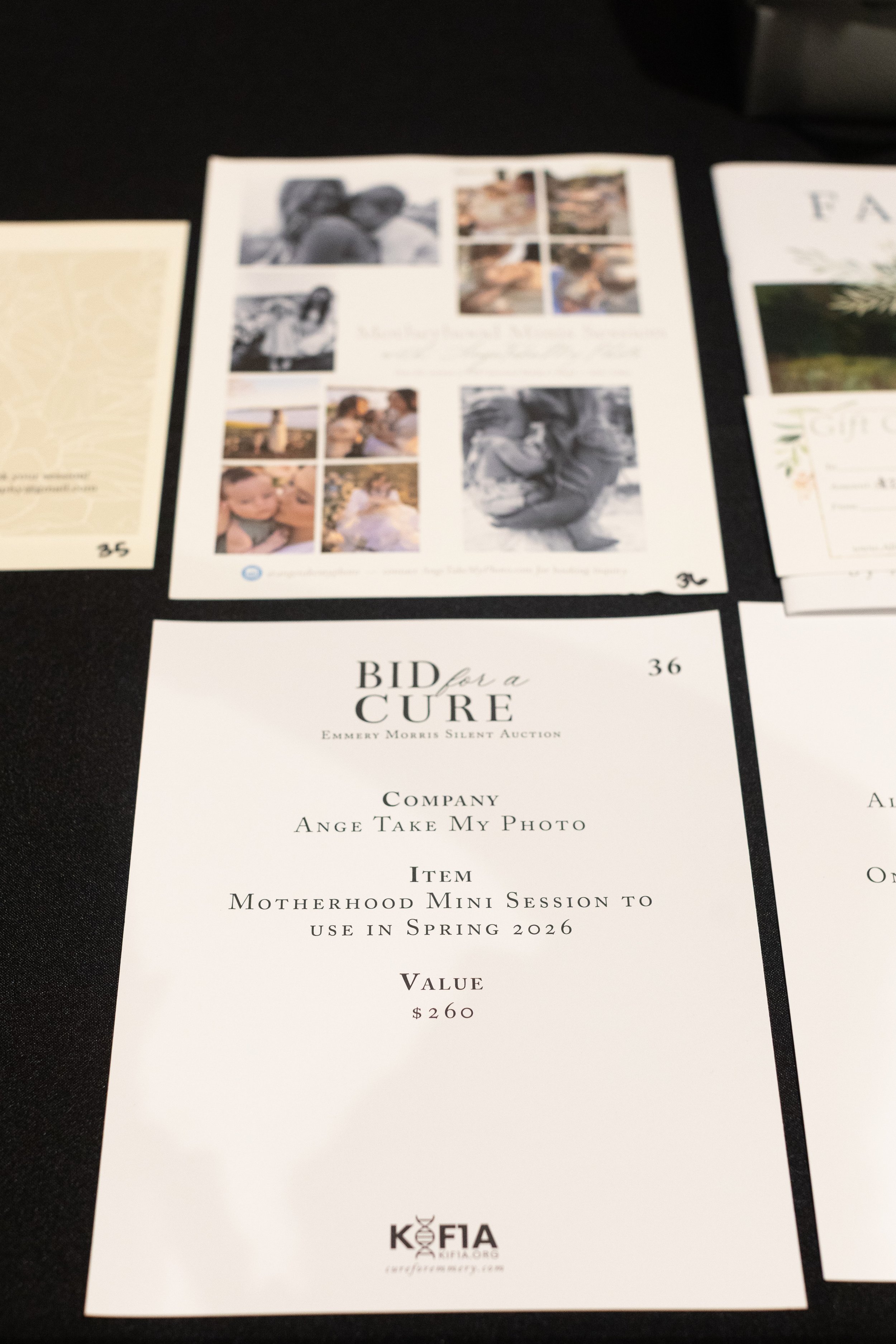 Bid For A Cure 2025-44.jpeg