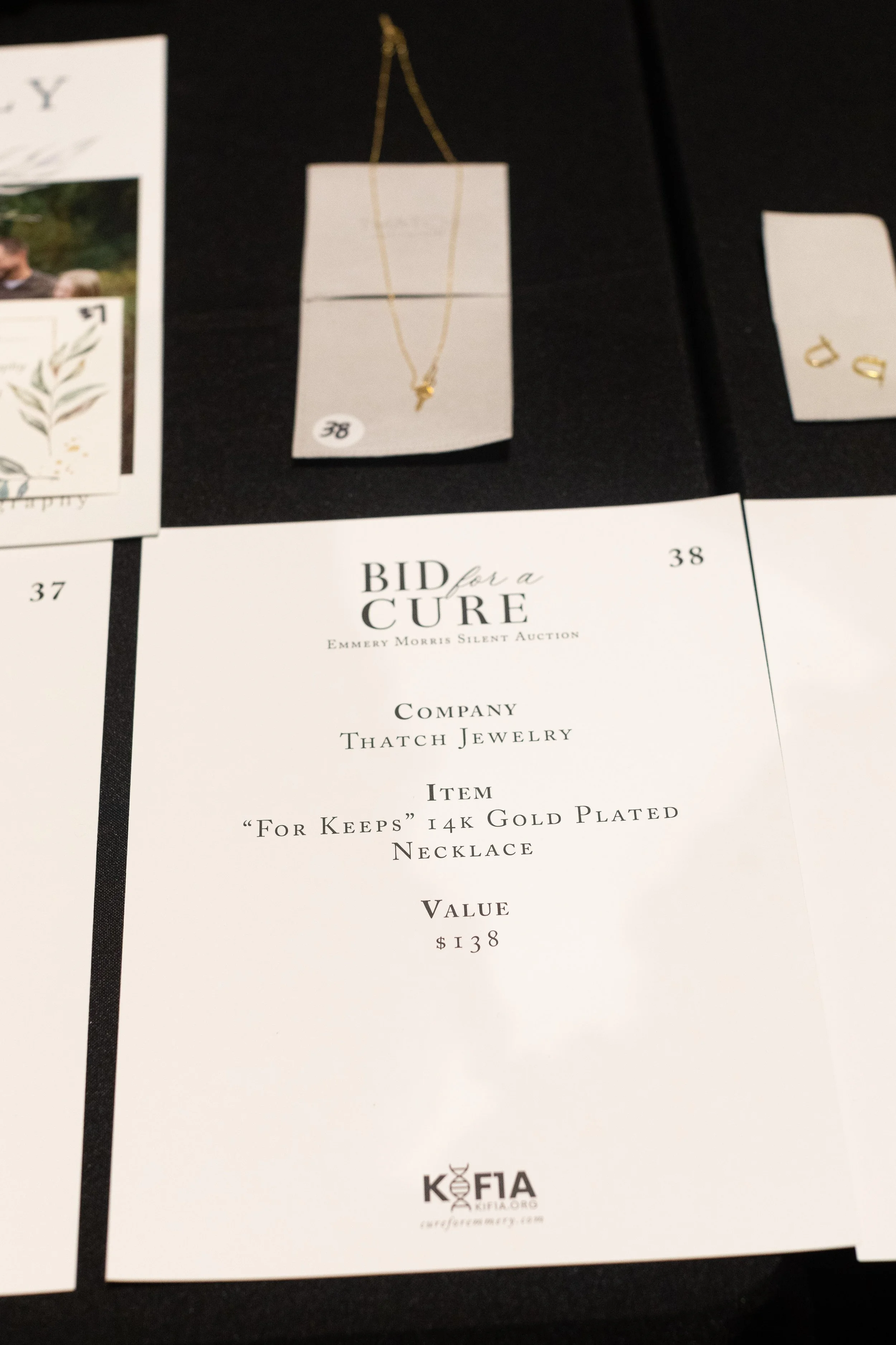 Bid For A Cure 2025-46.jpeg