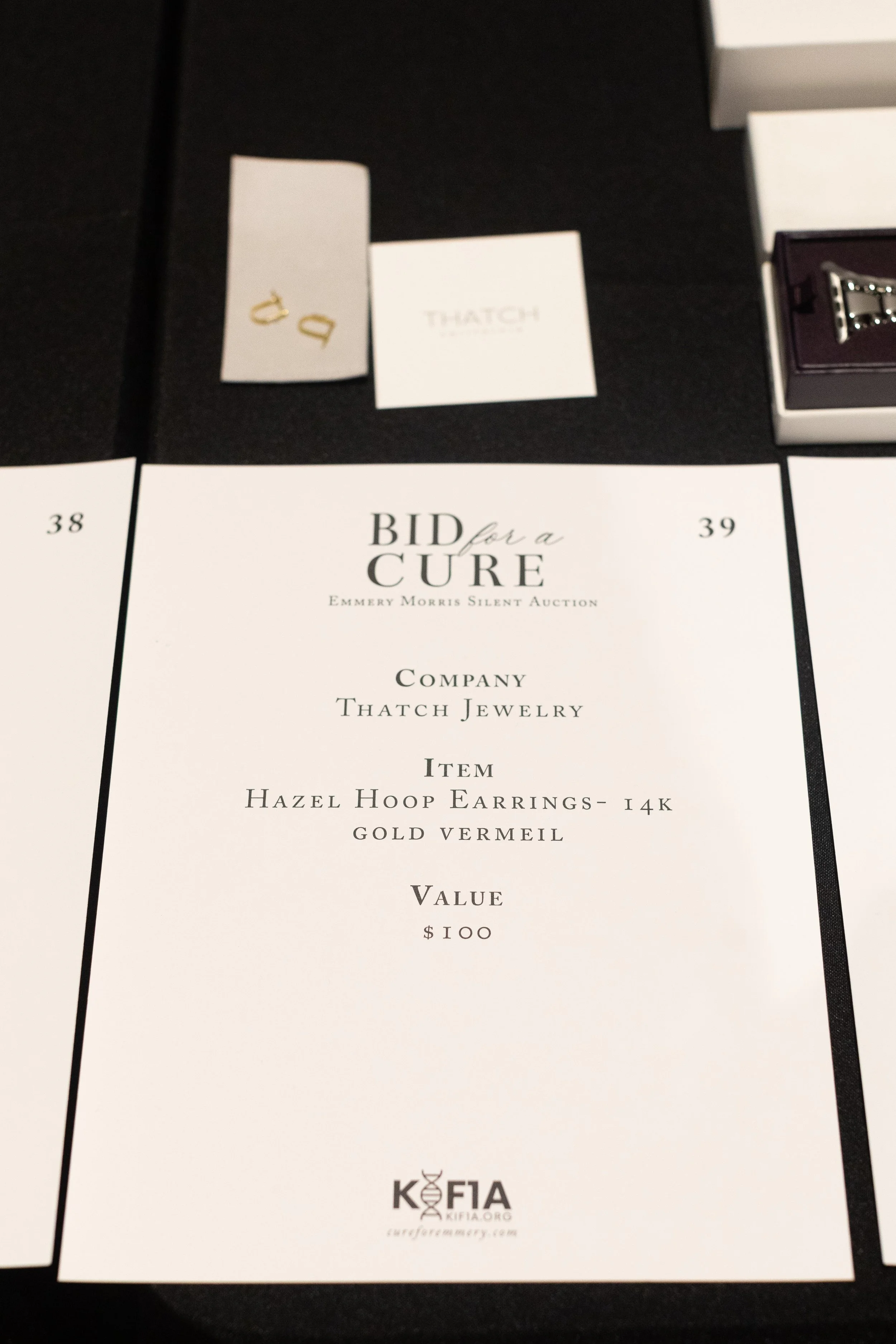 Bid For A Cure 2025-48.jpeg