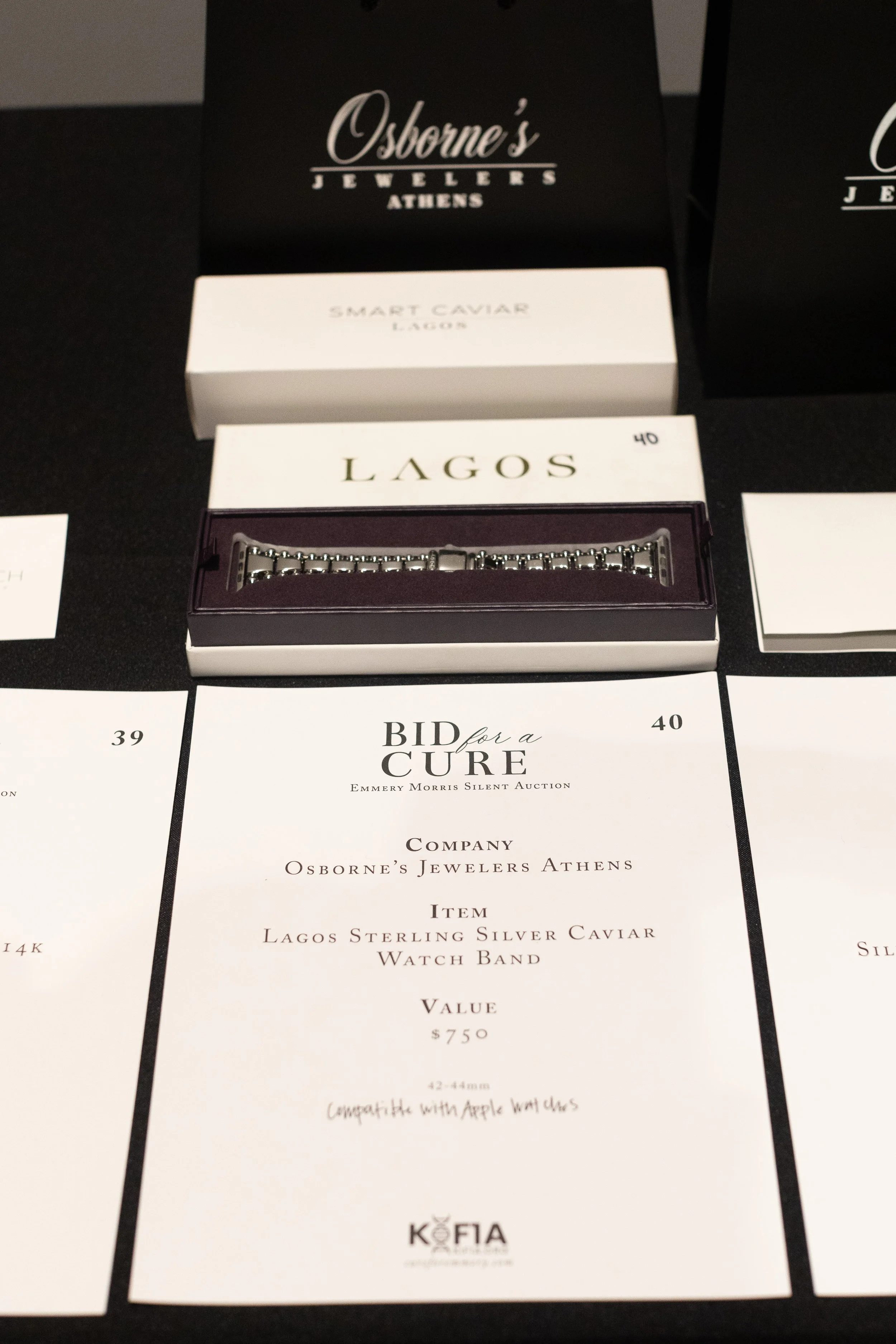 Bid For A Cure 2025-50.jpeg