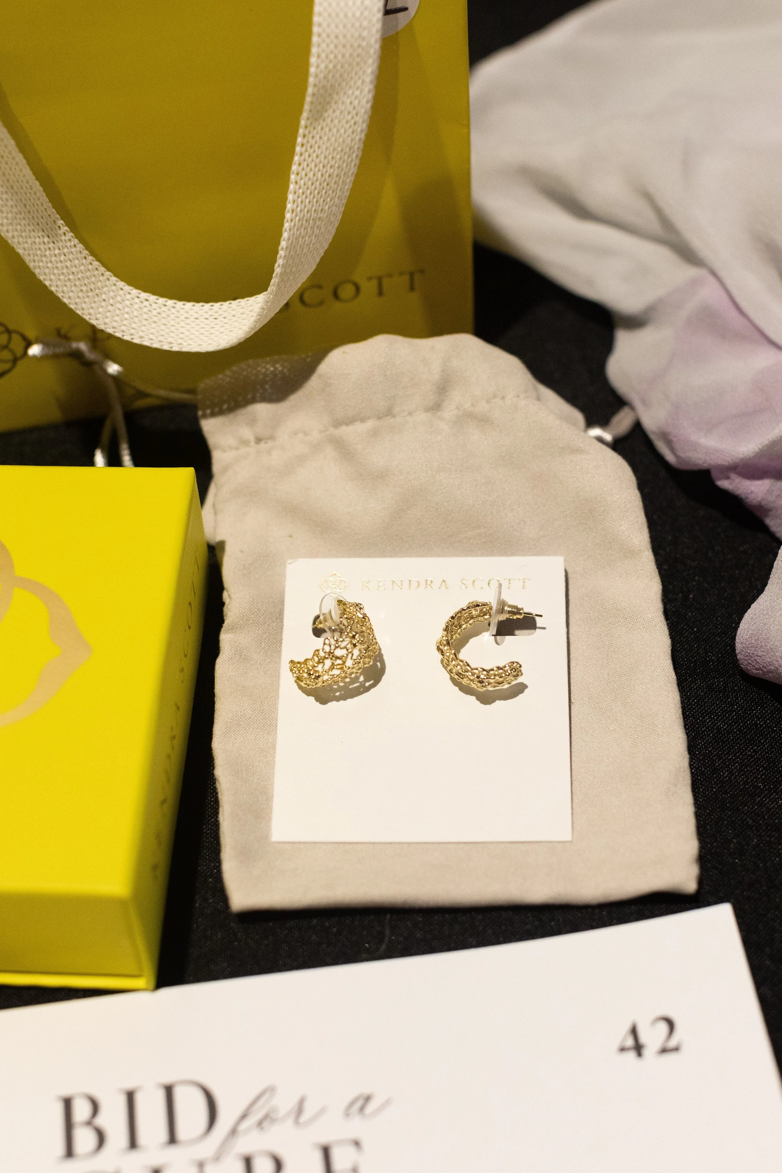 Bid For A Cure 2025-55.jpeg