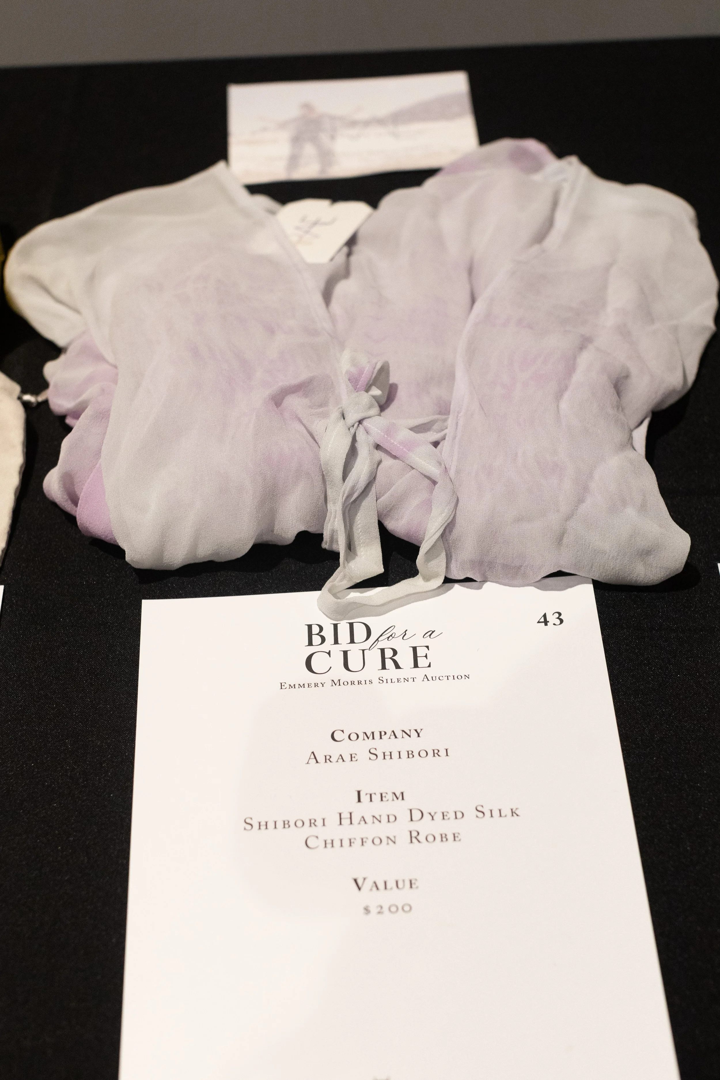 Bid For A Cure 2025-56.jpeg