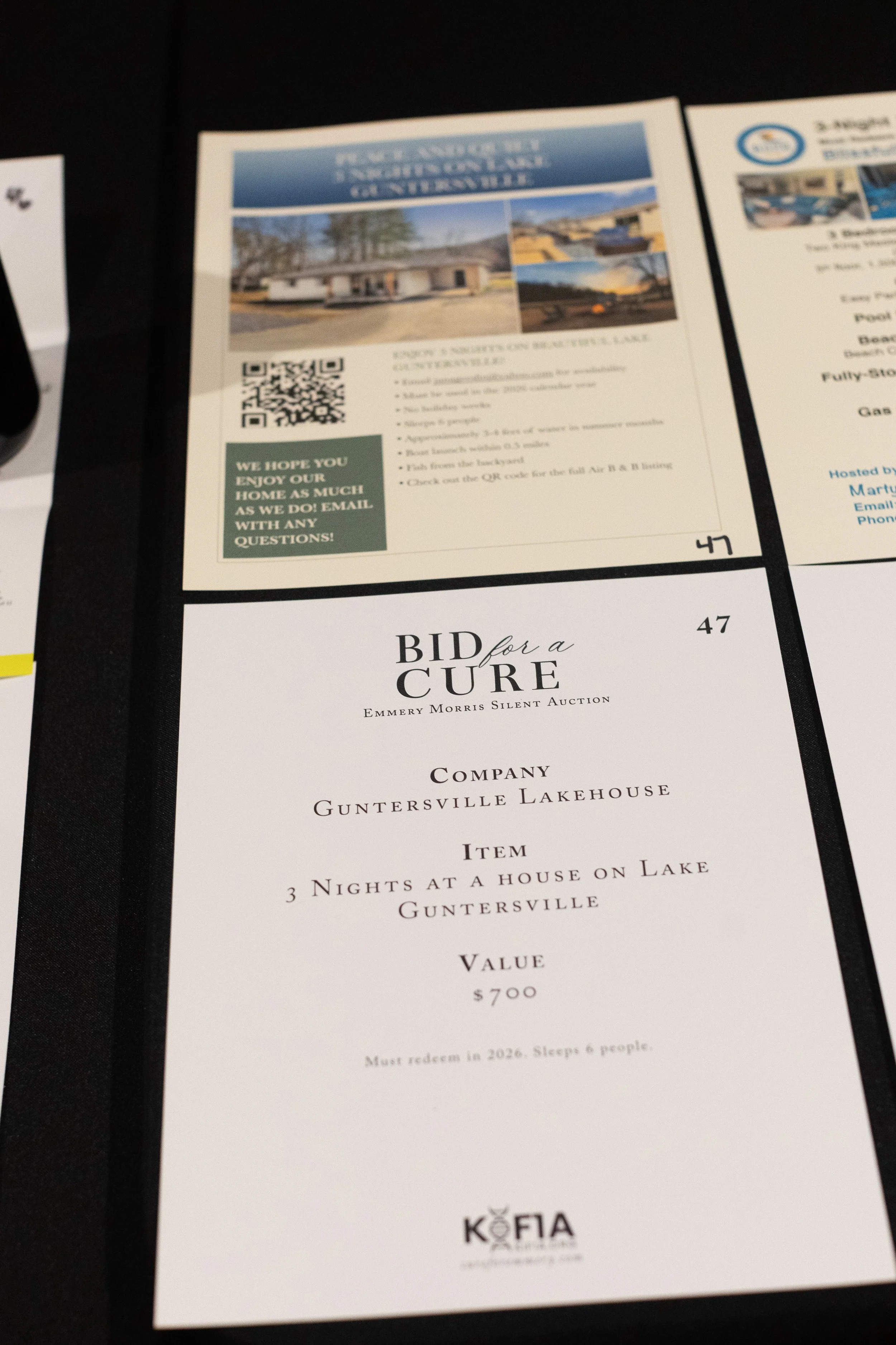 Bid For A Cure 2025-64.jpeg