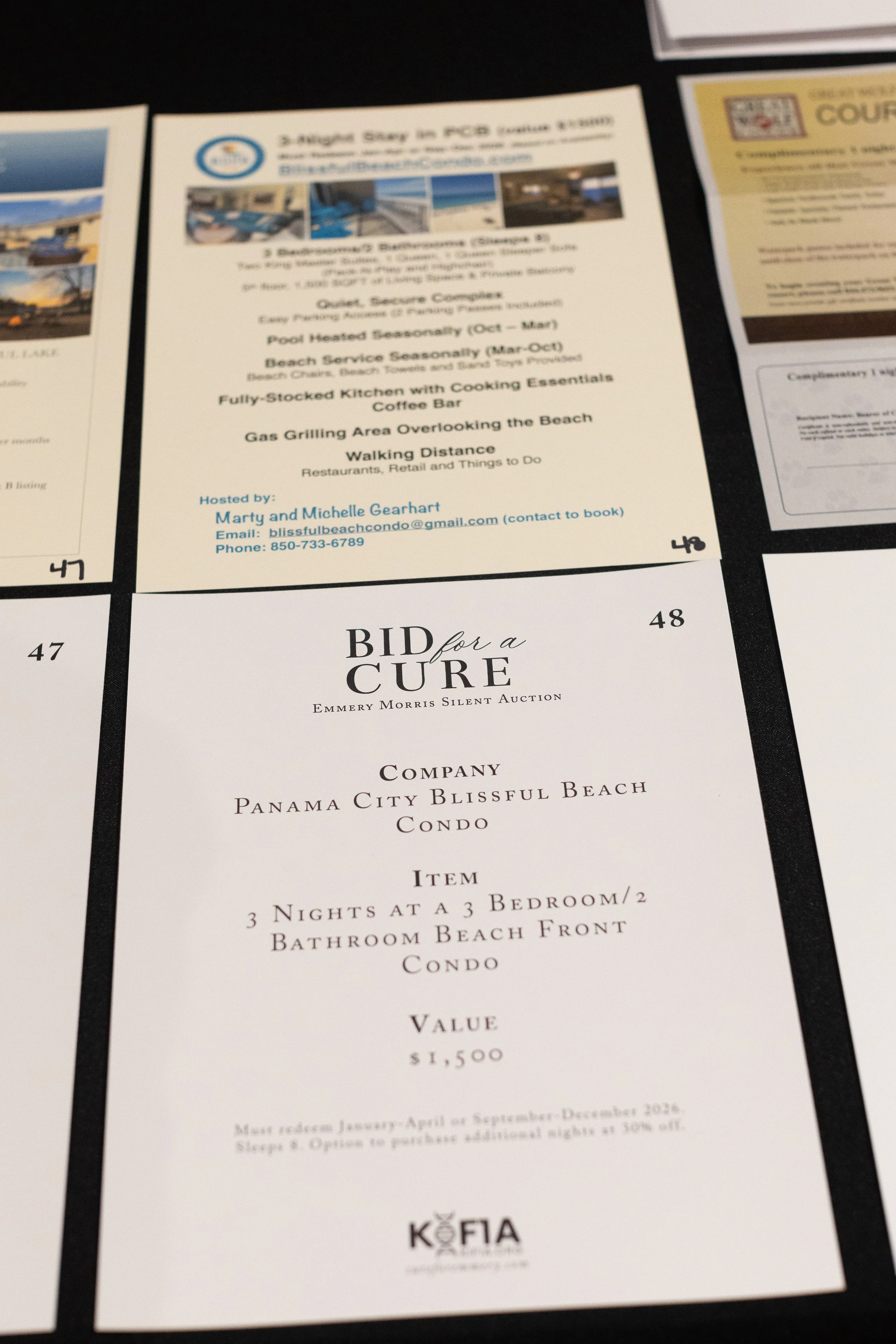 Bid For A Cure 2025-65.jpeg