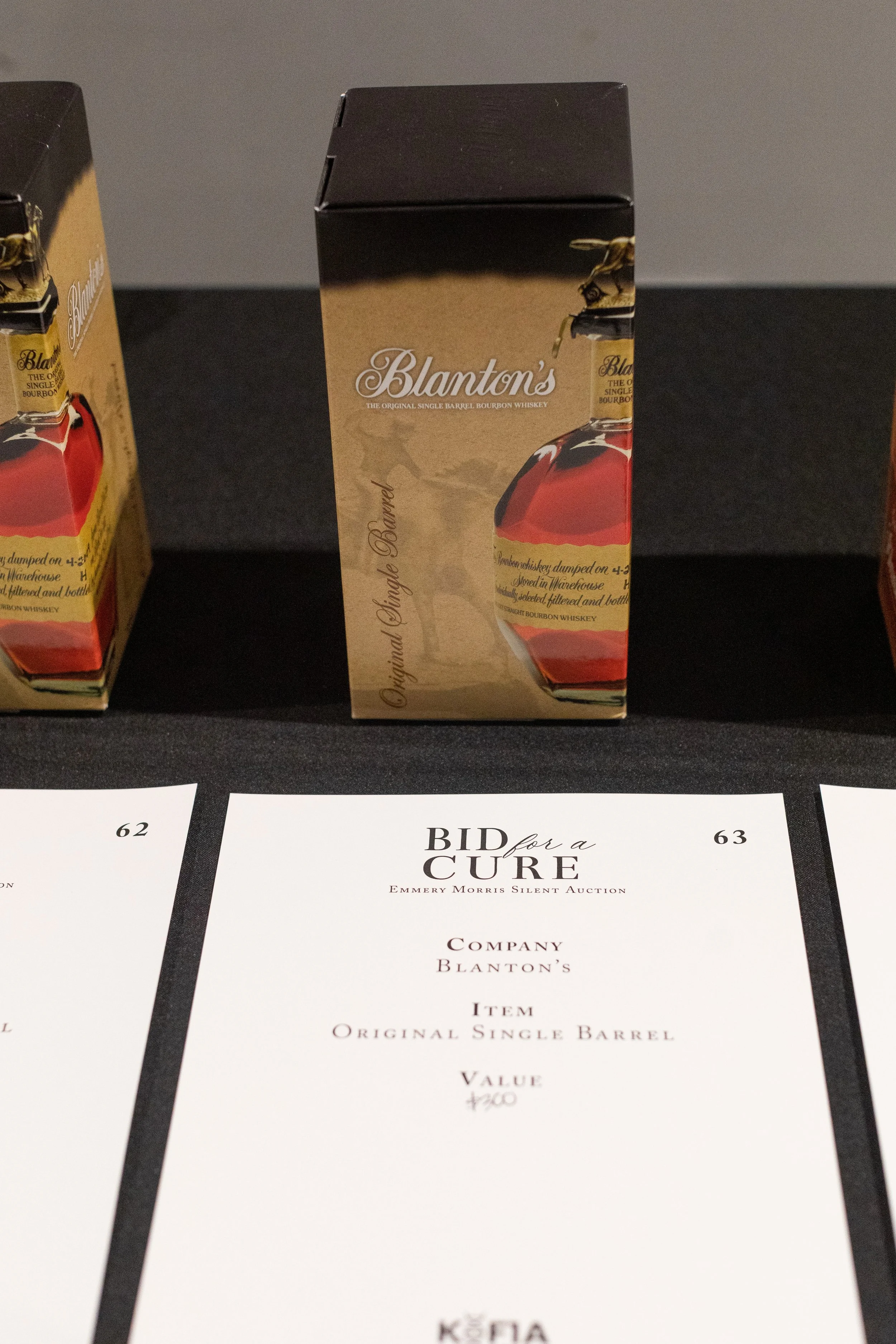 Bid For A Cure 2025-86.jpeg