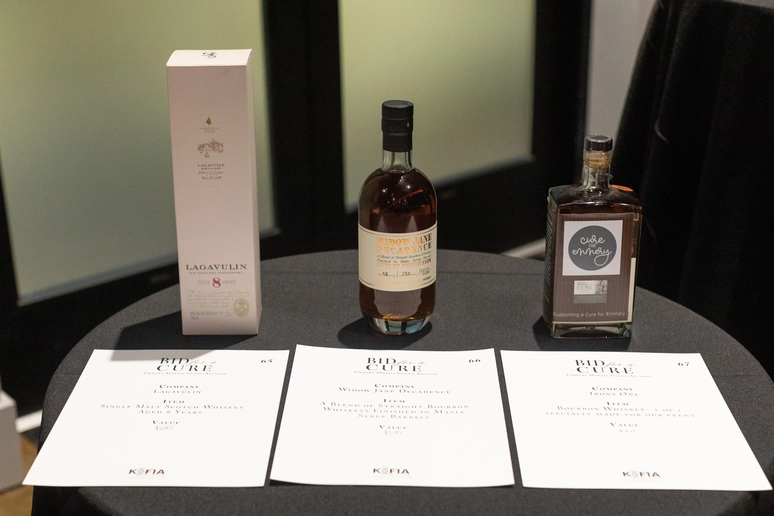 Bid For A Cure 2025-90.jpeg