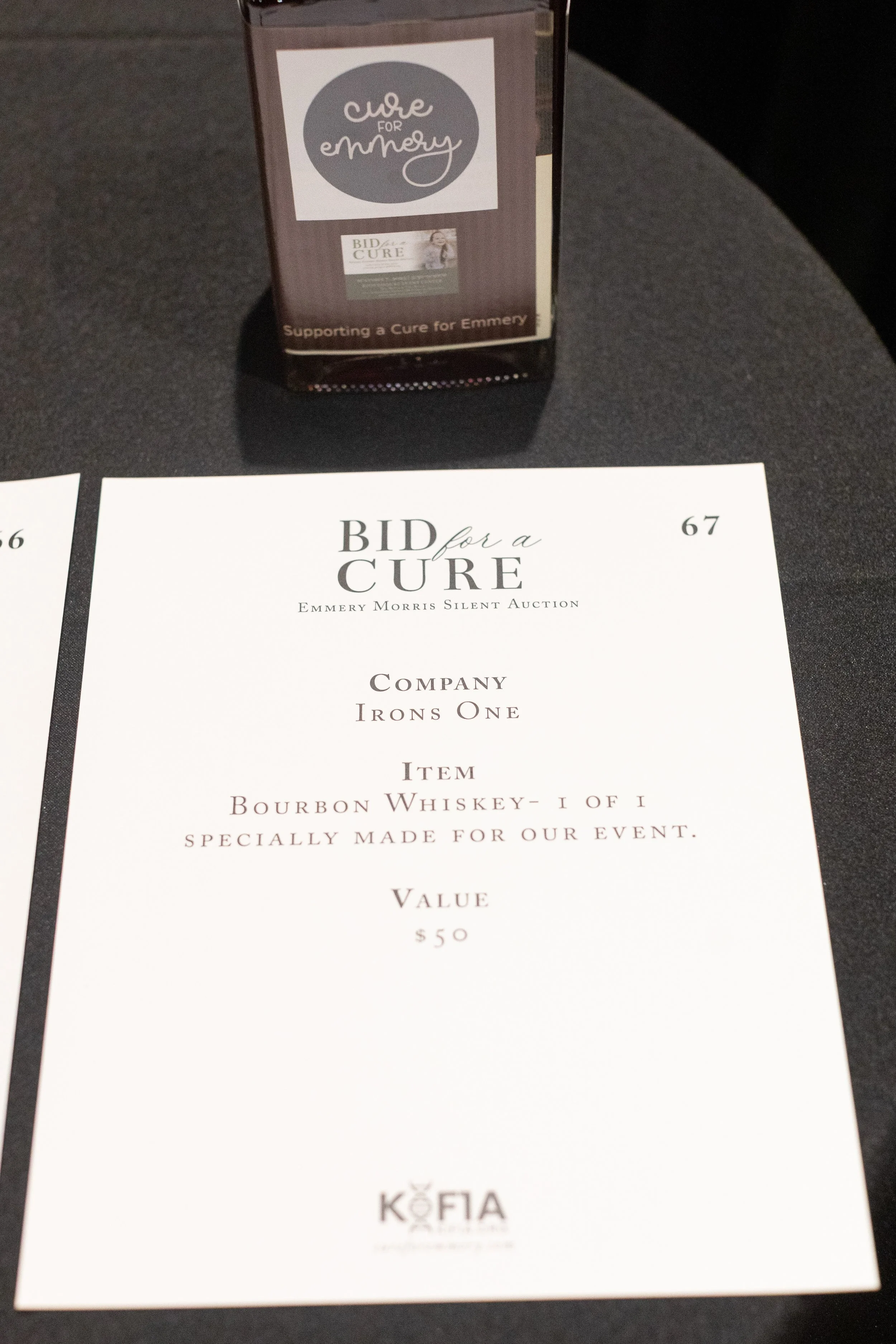 Bid For A Cure 2025-95.jpeg